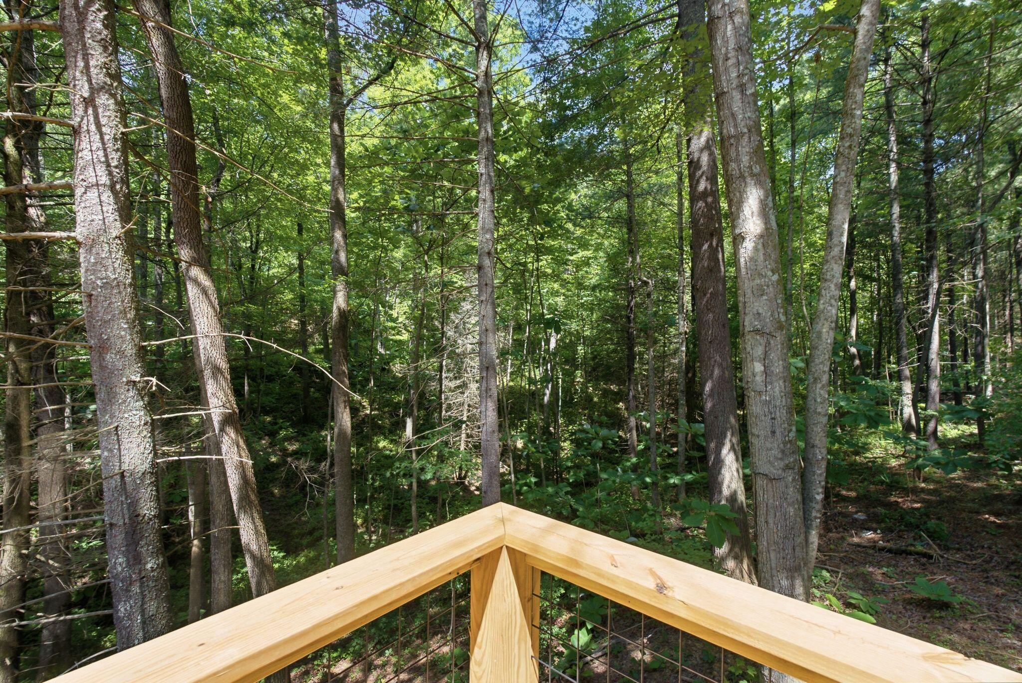 28 Joyful Springs Property Photo 40