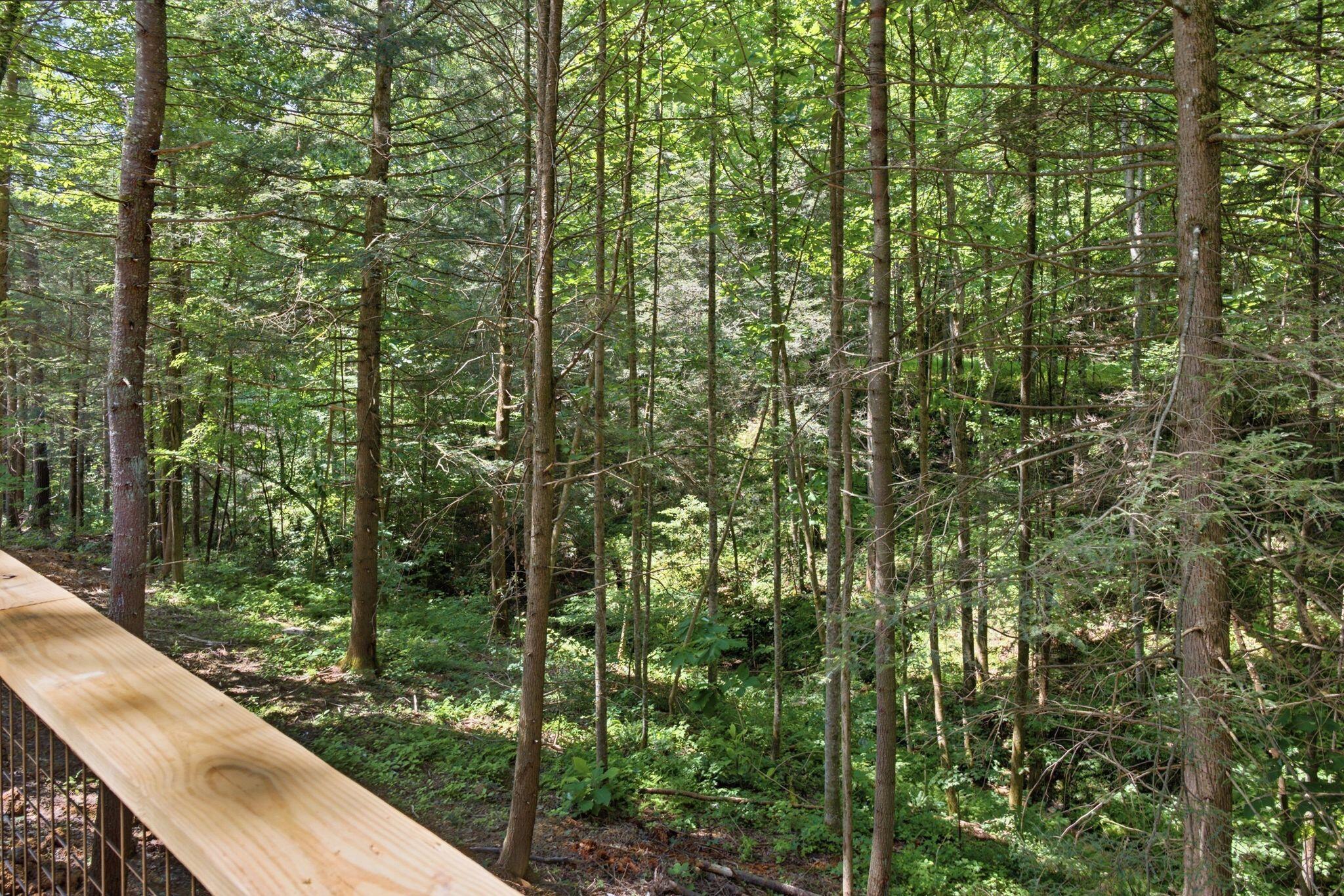 28 Joyful Springs Property Photo 41