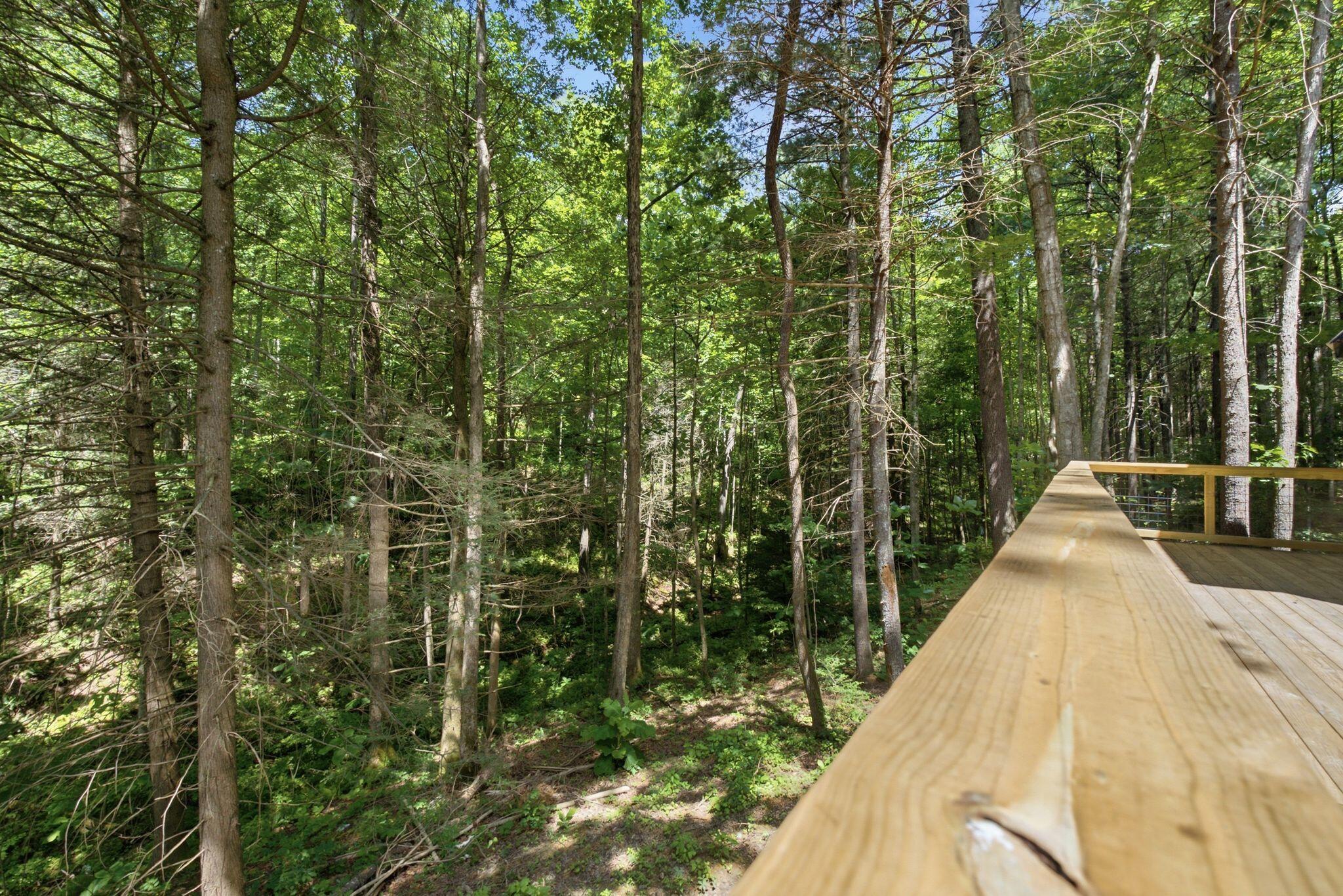 28 Joyful Springs Property Photo 42