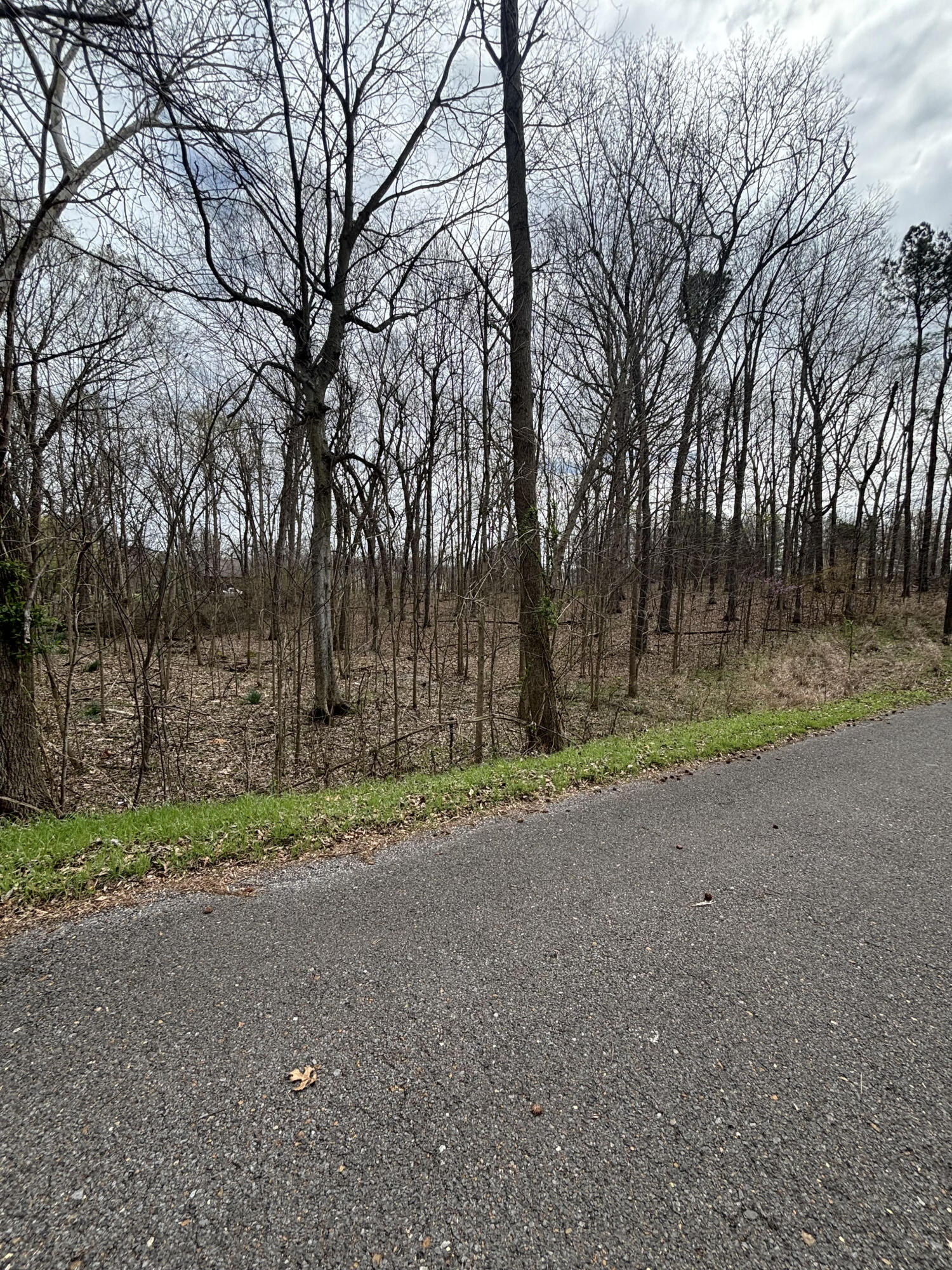 Lot 23 Norman Lane Property Photo 6