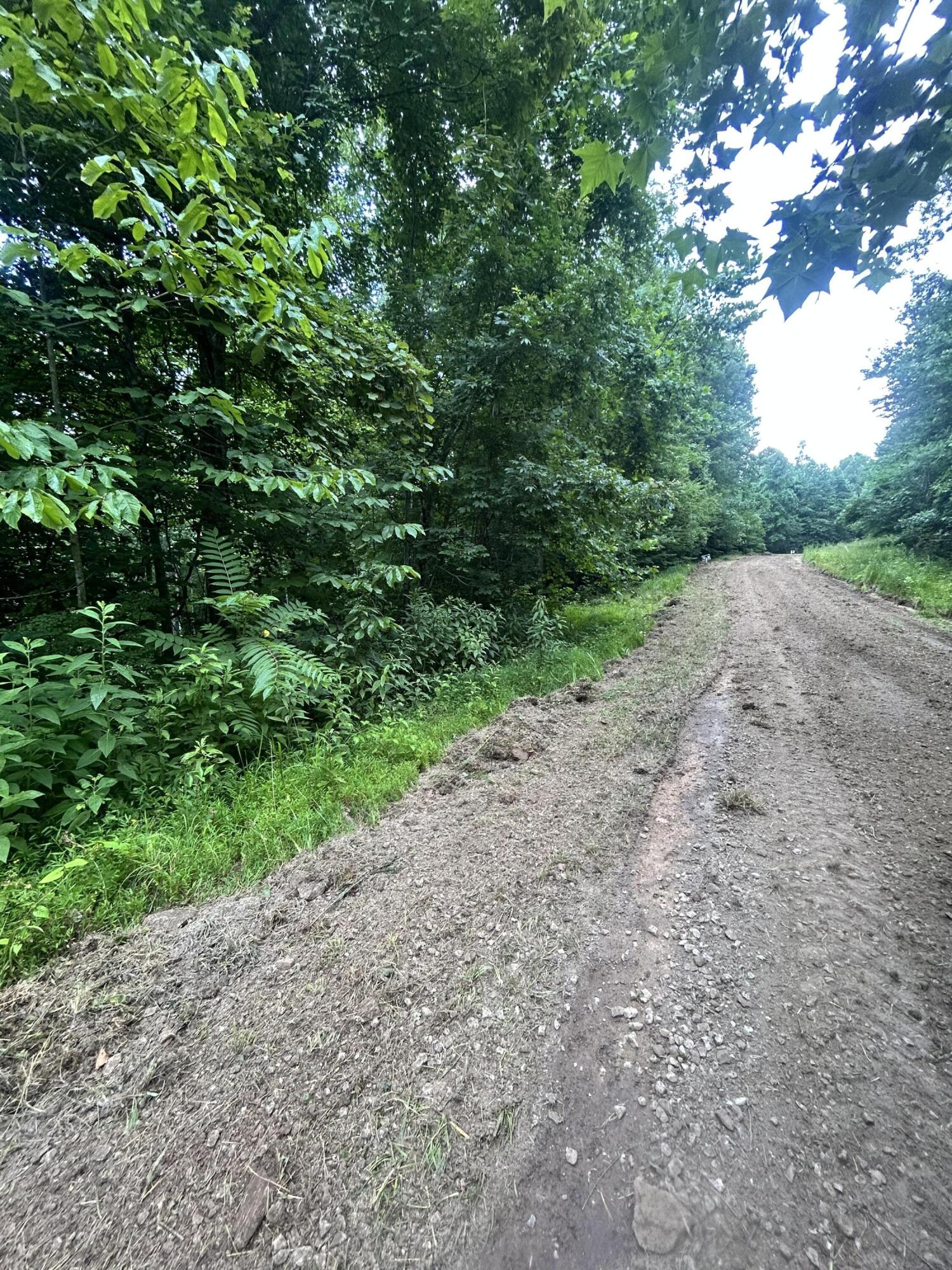 Tract 68-70 Cd Dogwood Drive Property Photo 2
