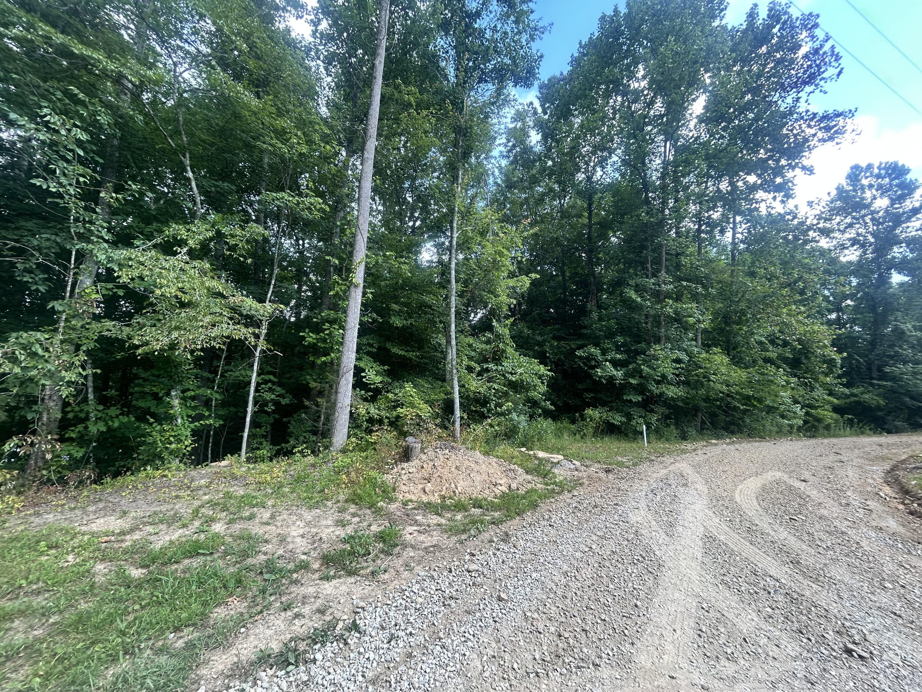 Tract 68-70 Cd Dogwood Drive Property Photo 5