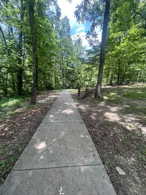 Tract 68-70 Cd Dogwood Drive Property Photo 8
