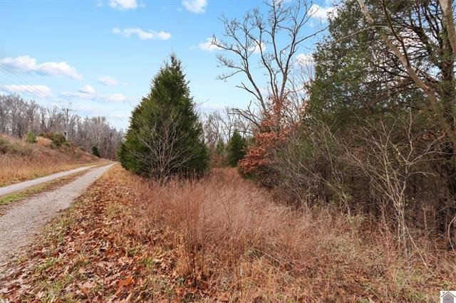 0 Kentucky 274 Property Photo 8