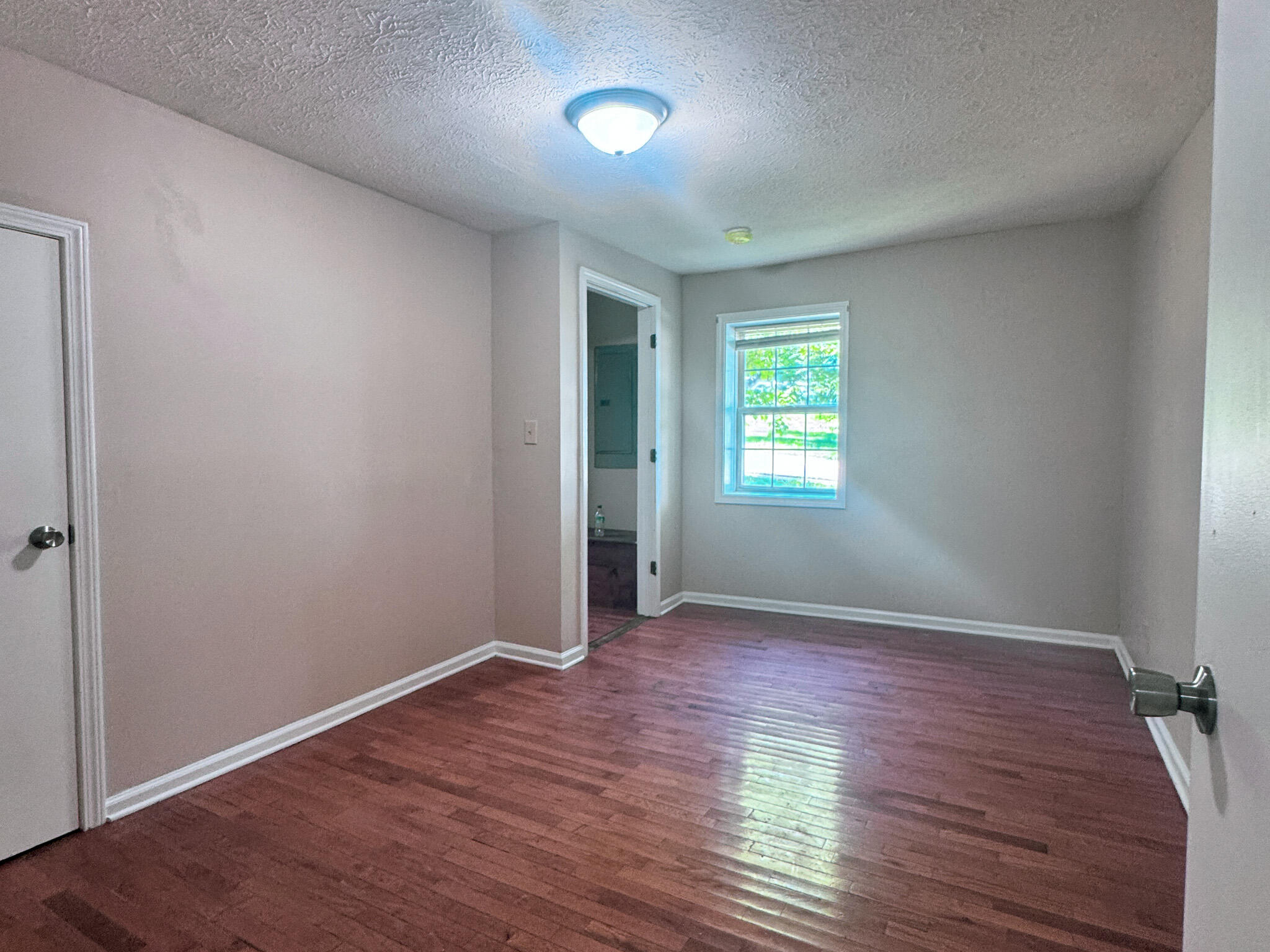 118 Langdon Street Property Photo 6