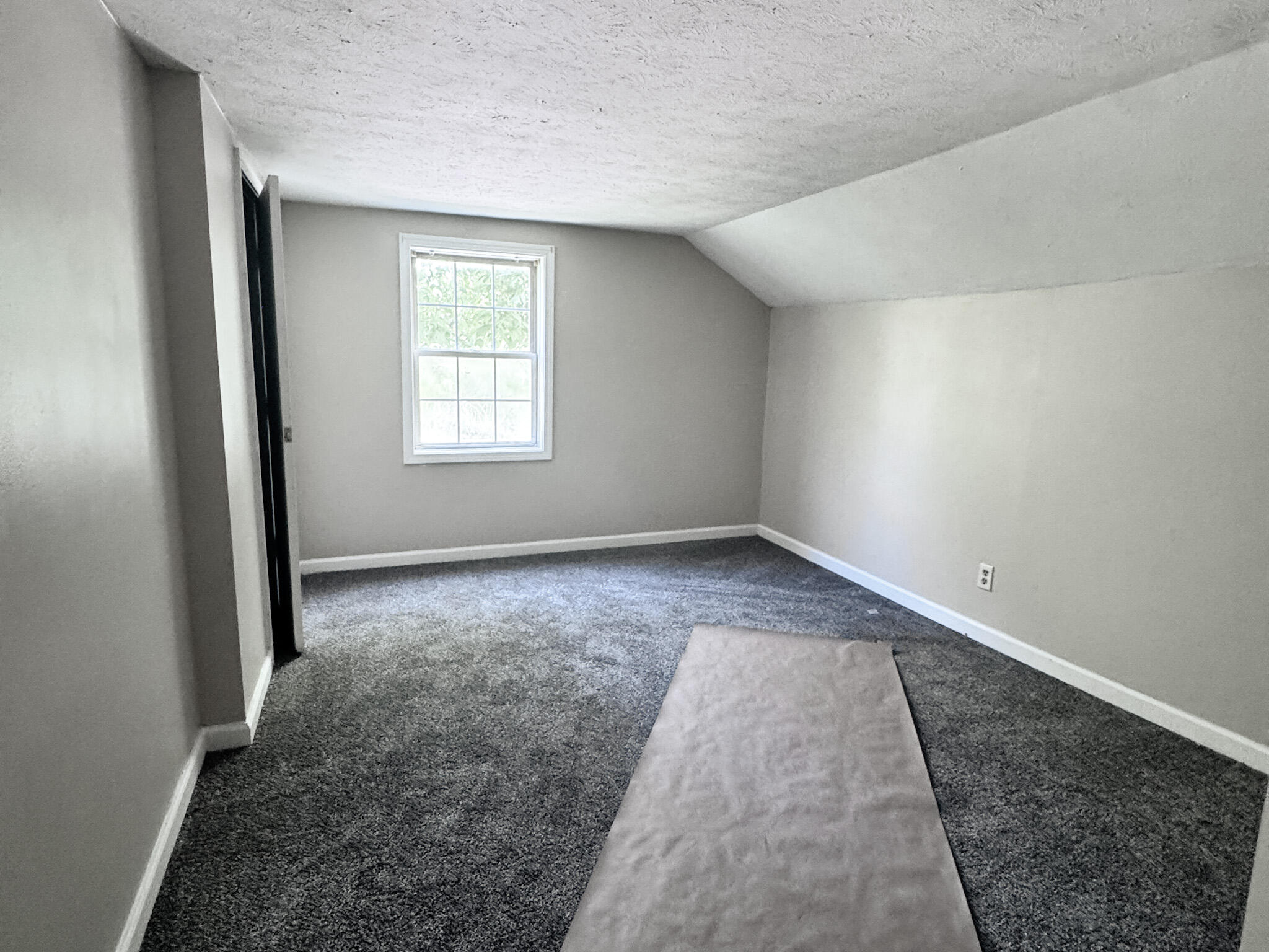 118 Langdon Street Property Photo 10