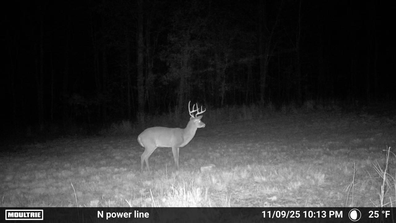 656 N State Hwy 810 Property Photo 12