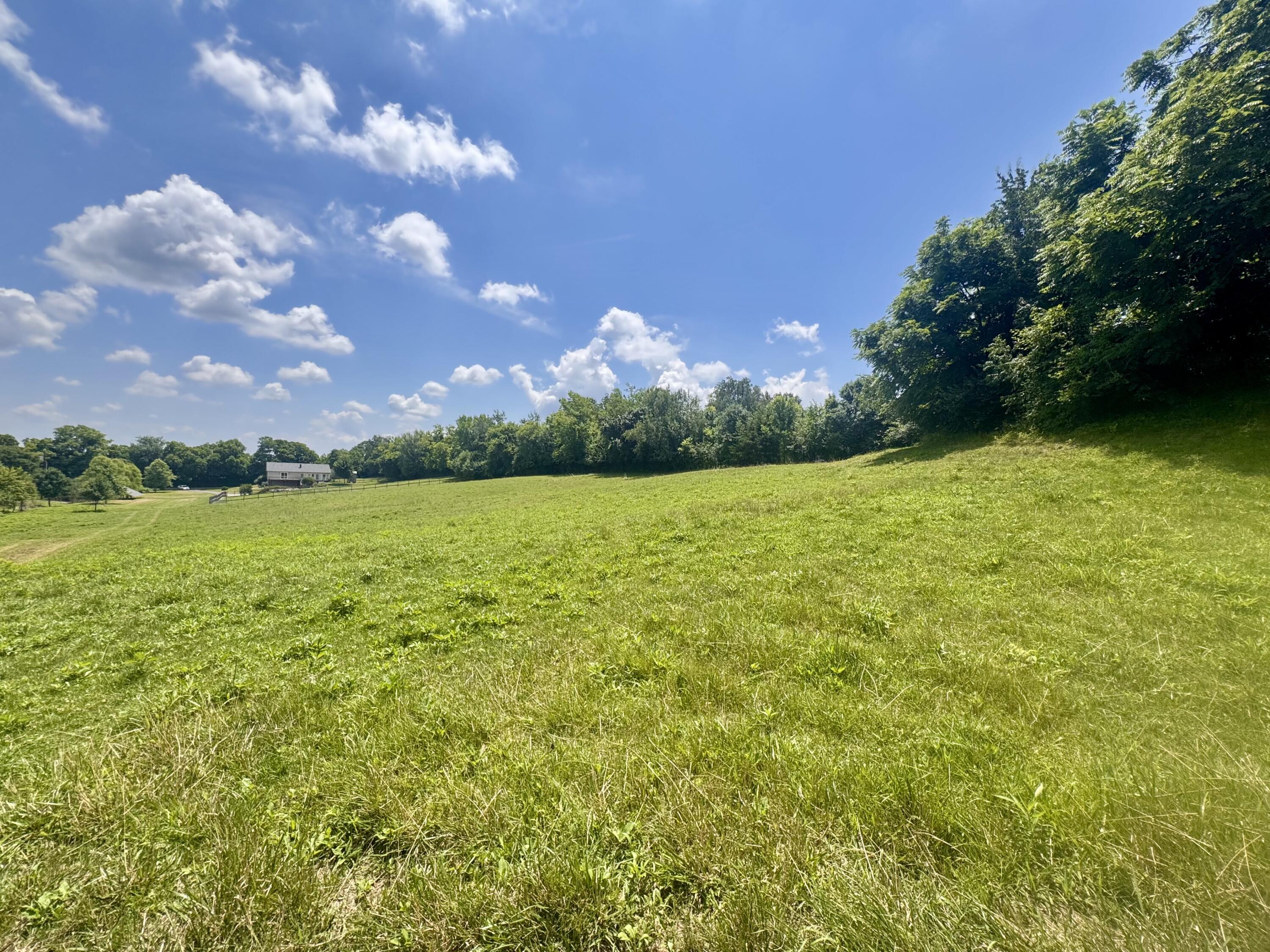 321 Tuggle Road Property Photo 65