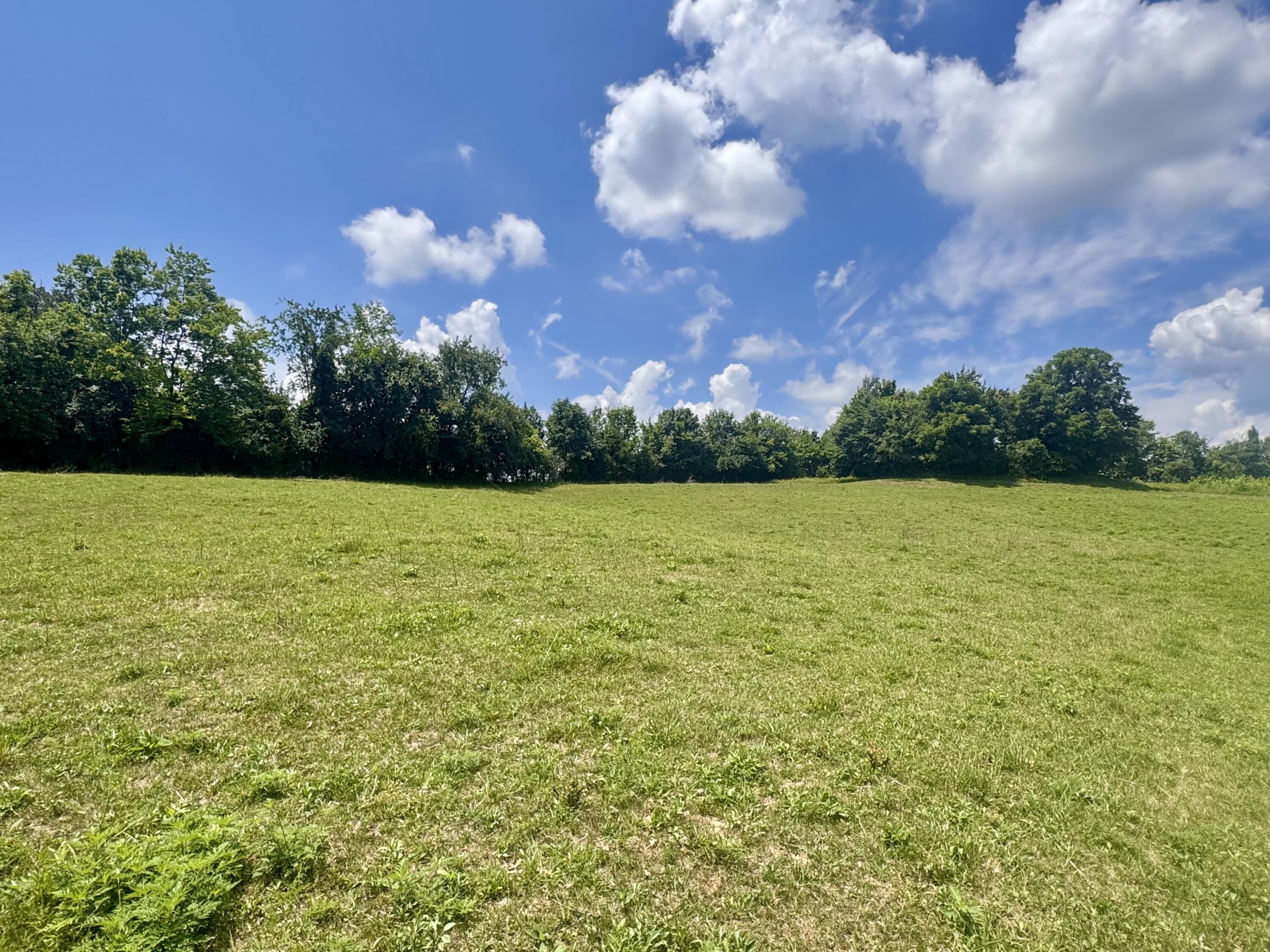 321 Tuggle Road Property Photo 73