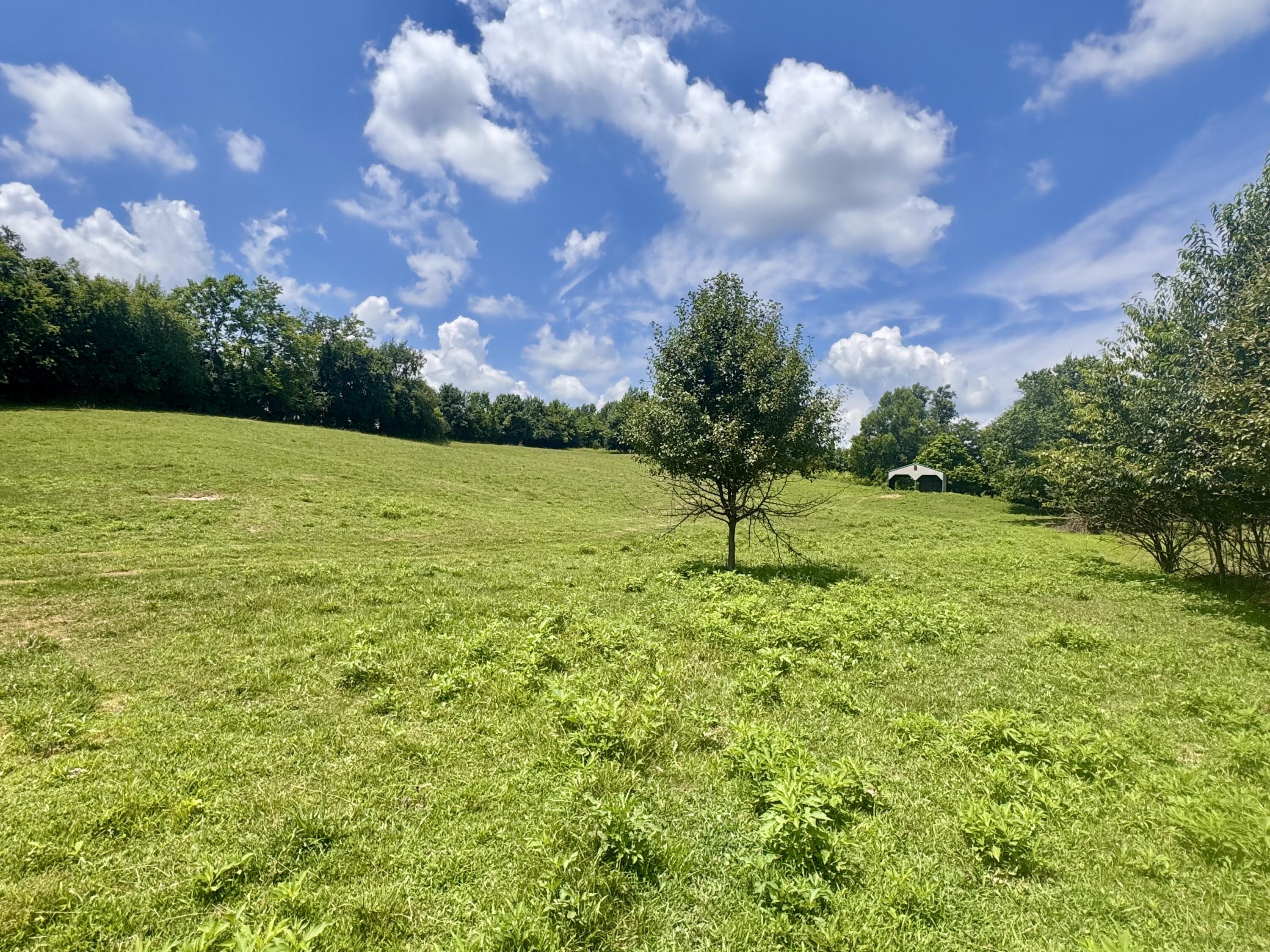 321 Tuggle Road Property Photo 76