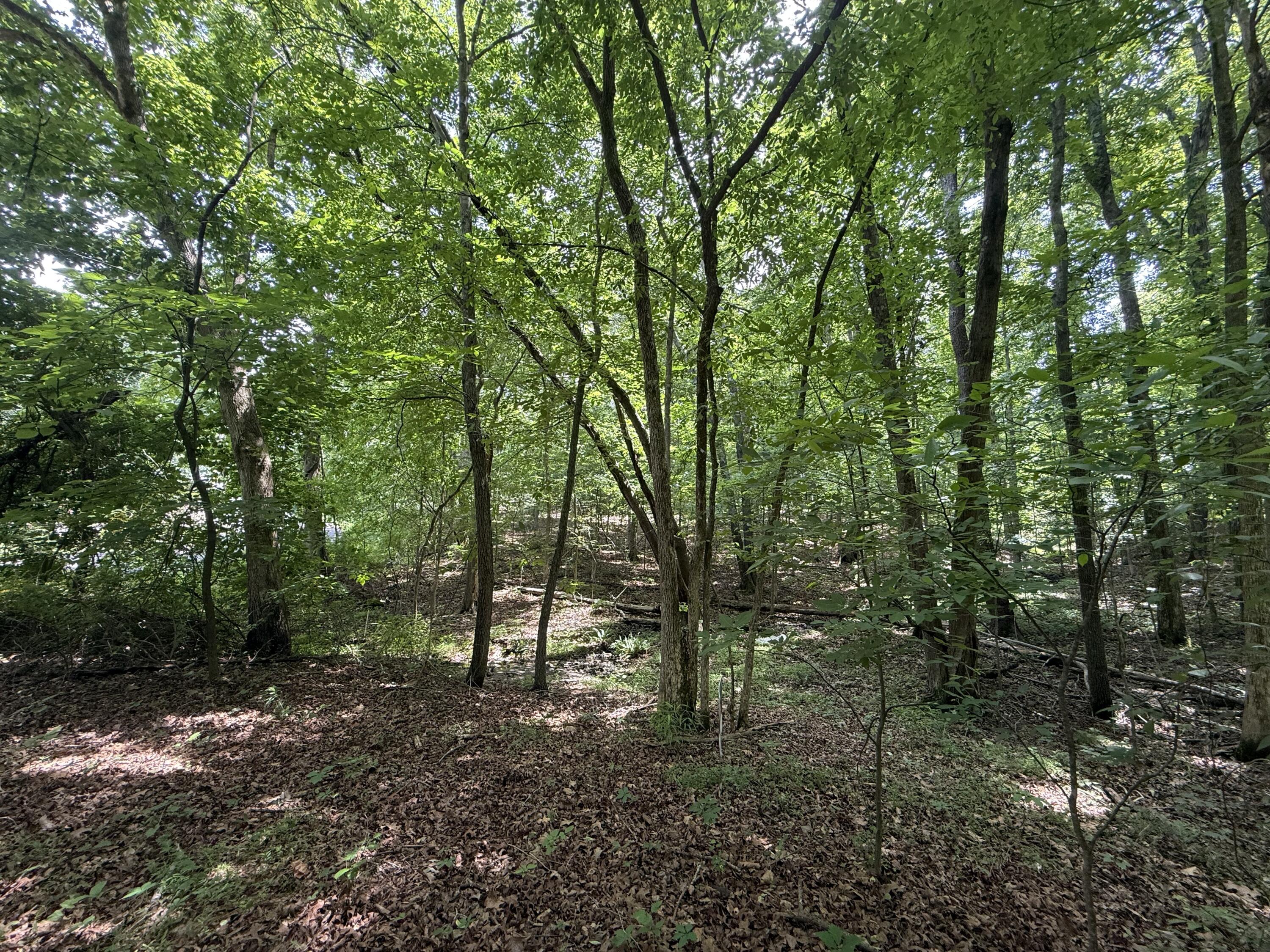 000 Waterway Trail Lot #70b - Keniana Lake Shore Property Photo 1