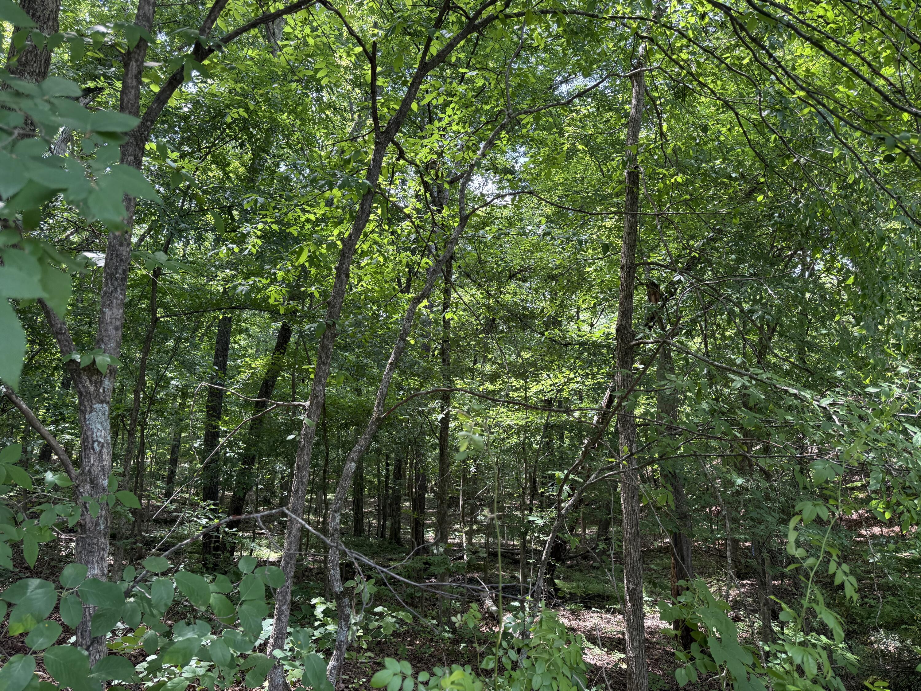000 Waterway Trail Lot #70b - Keniana Lake Shore Property Photo 2
