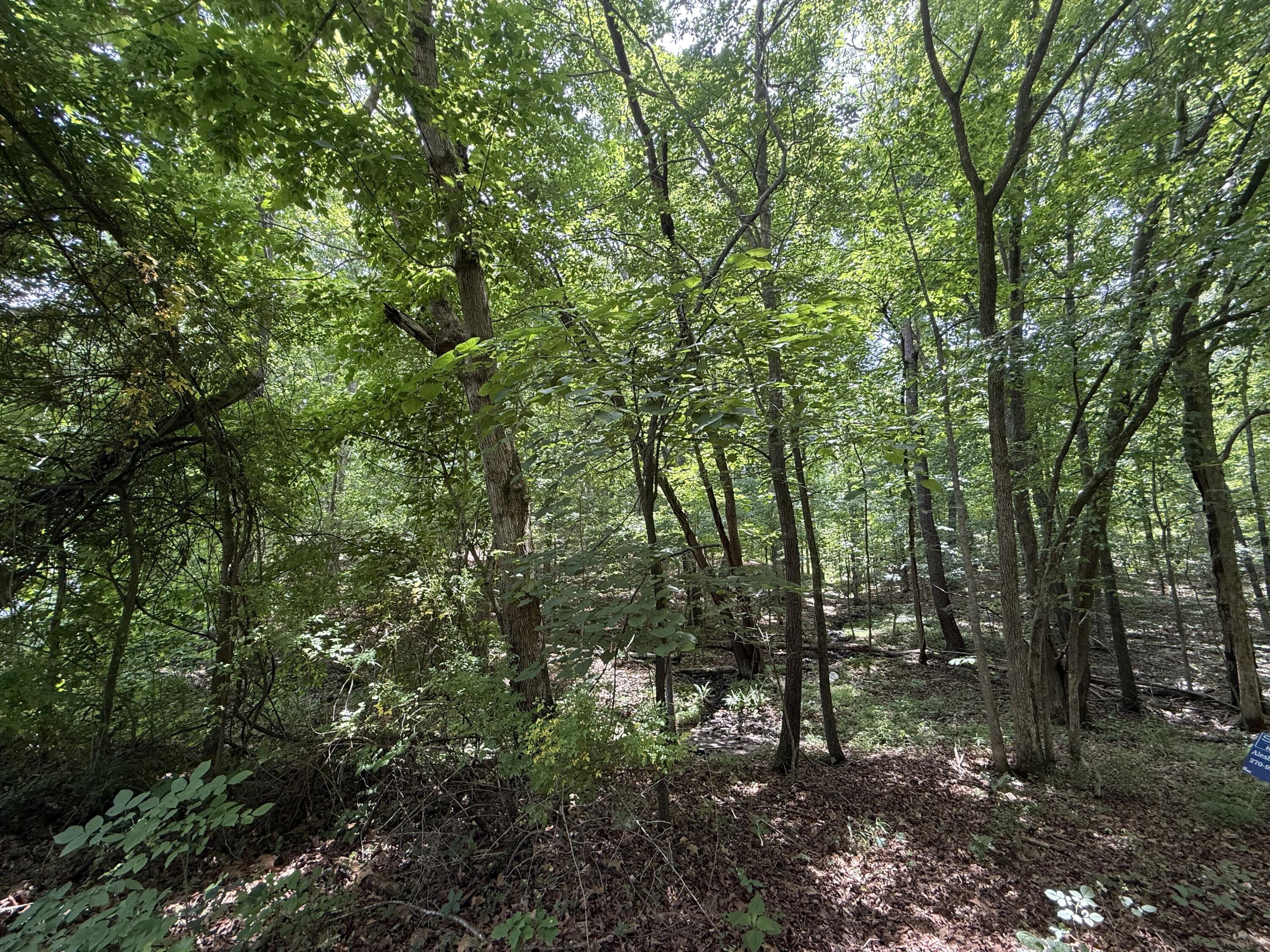 000 Waterway Trail Lot #70b - Keniana Lake Shore Property Photo 3