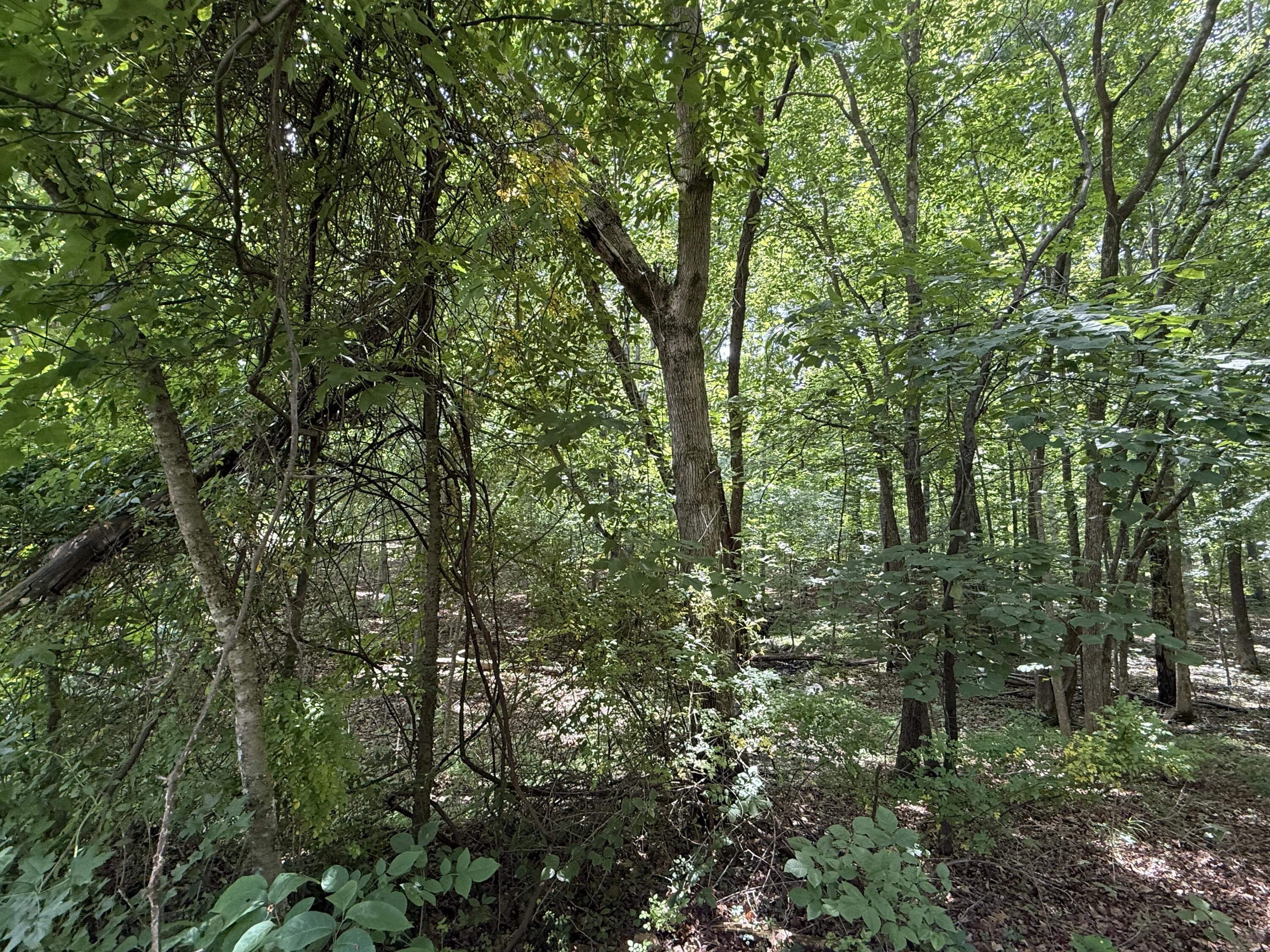 000 Waterway Trail Lot #70b - Keniana Lake Shore Property Photo 4