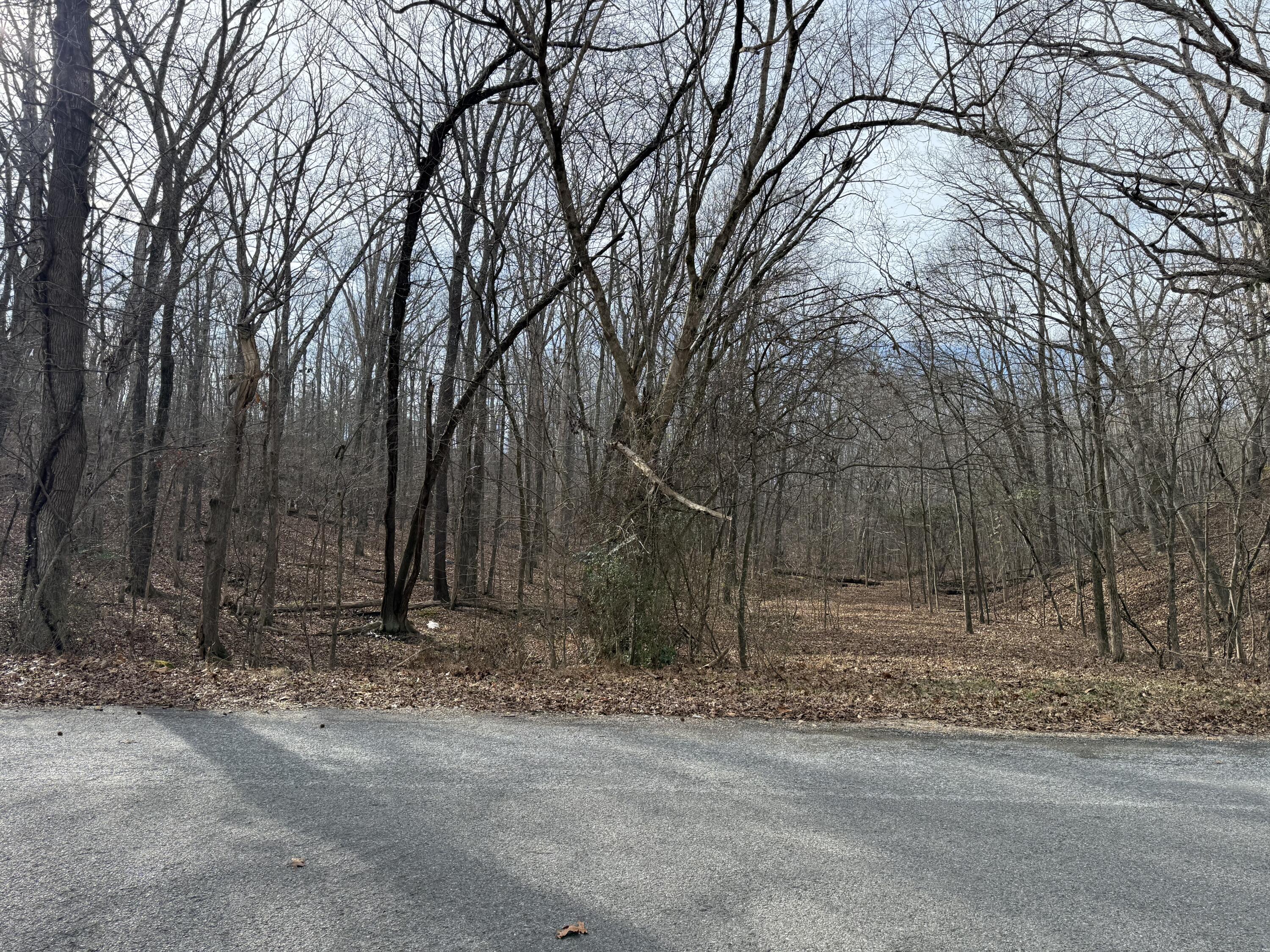000 Waterway Trail Lot #70b - Keniana Lake Shore Property Photo 5