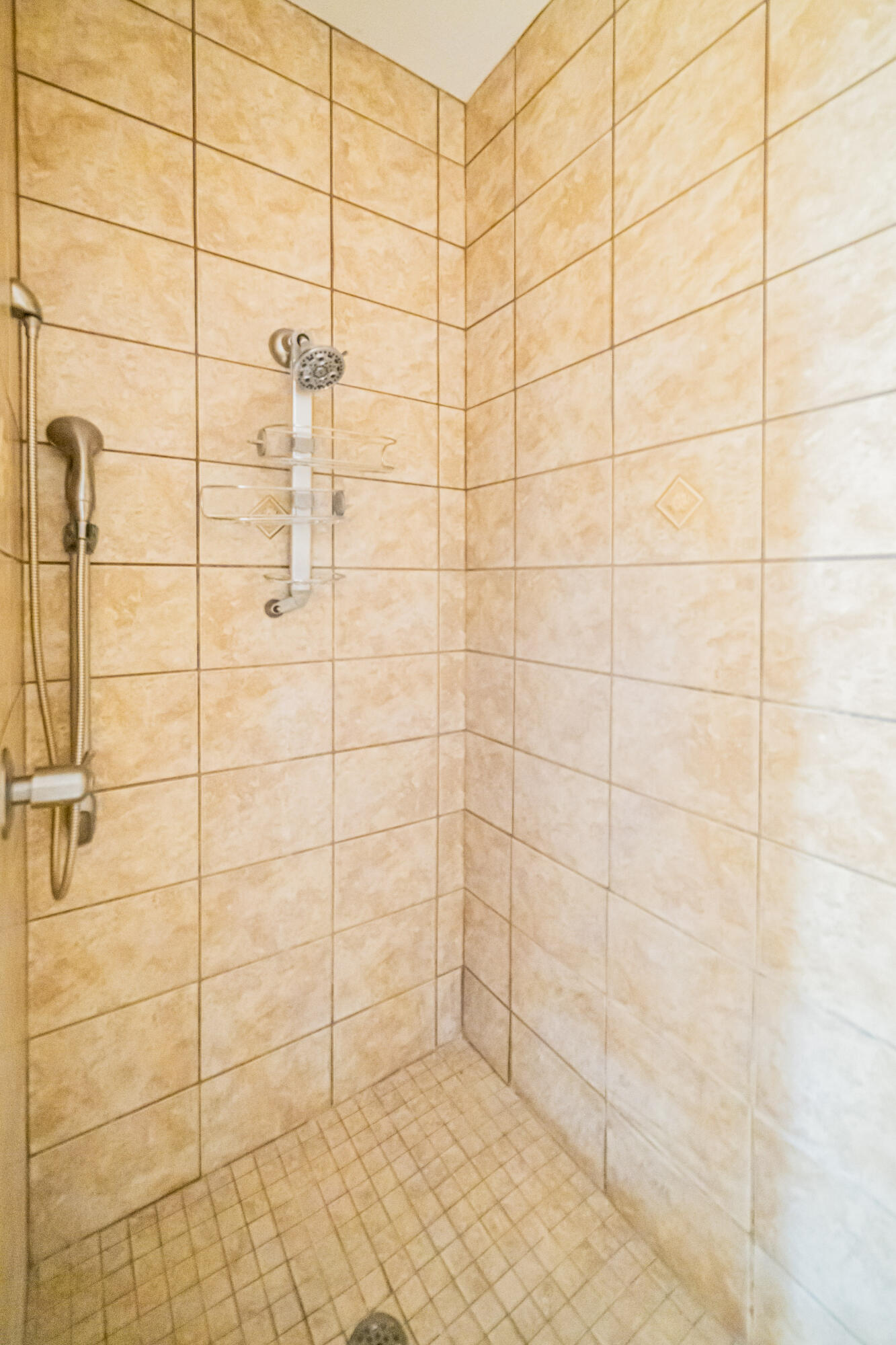 237 Knottingham Drive Property Photo 12