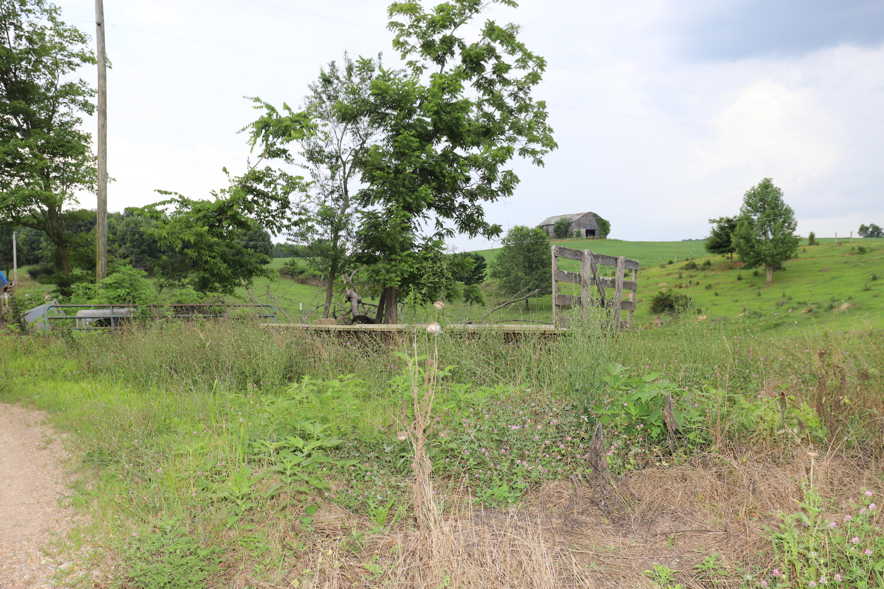 625 Caney Creek Road Property Photo 34