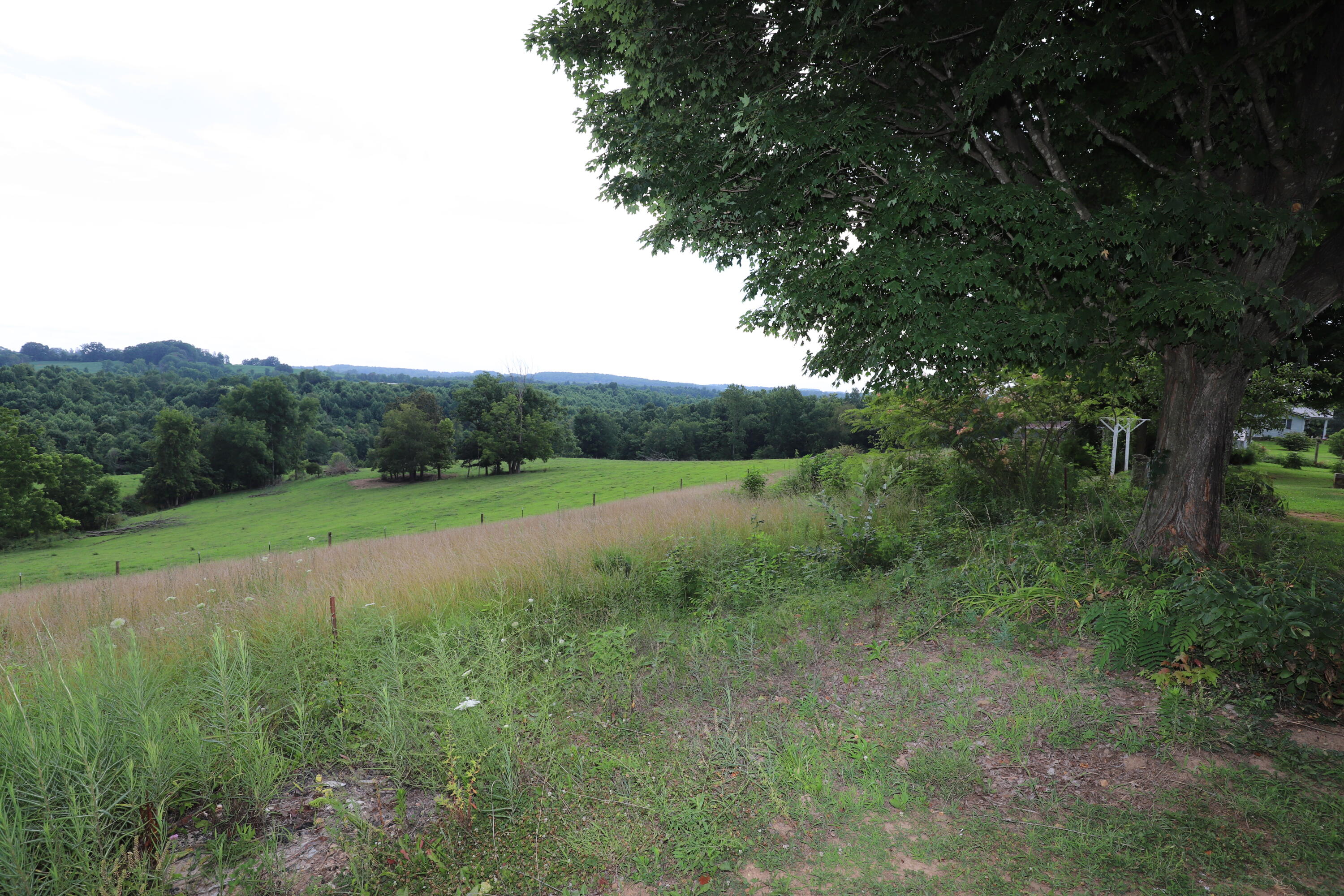 625 Caney Creek Road Property Photo 37
