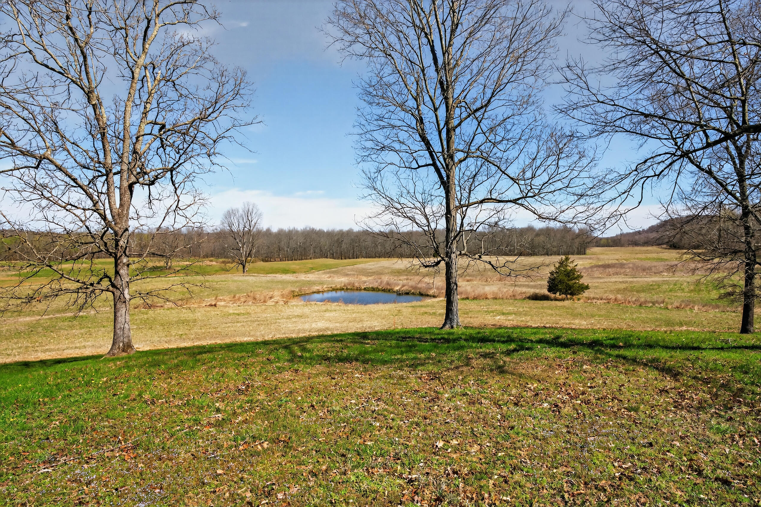 2526 Axel Creek Road Property Photo 9