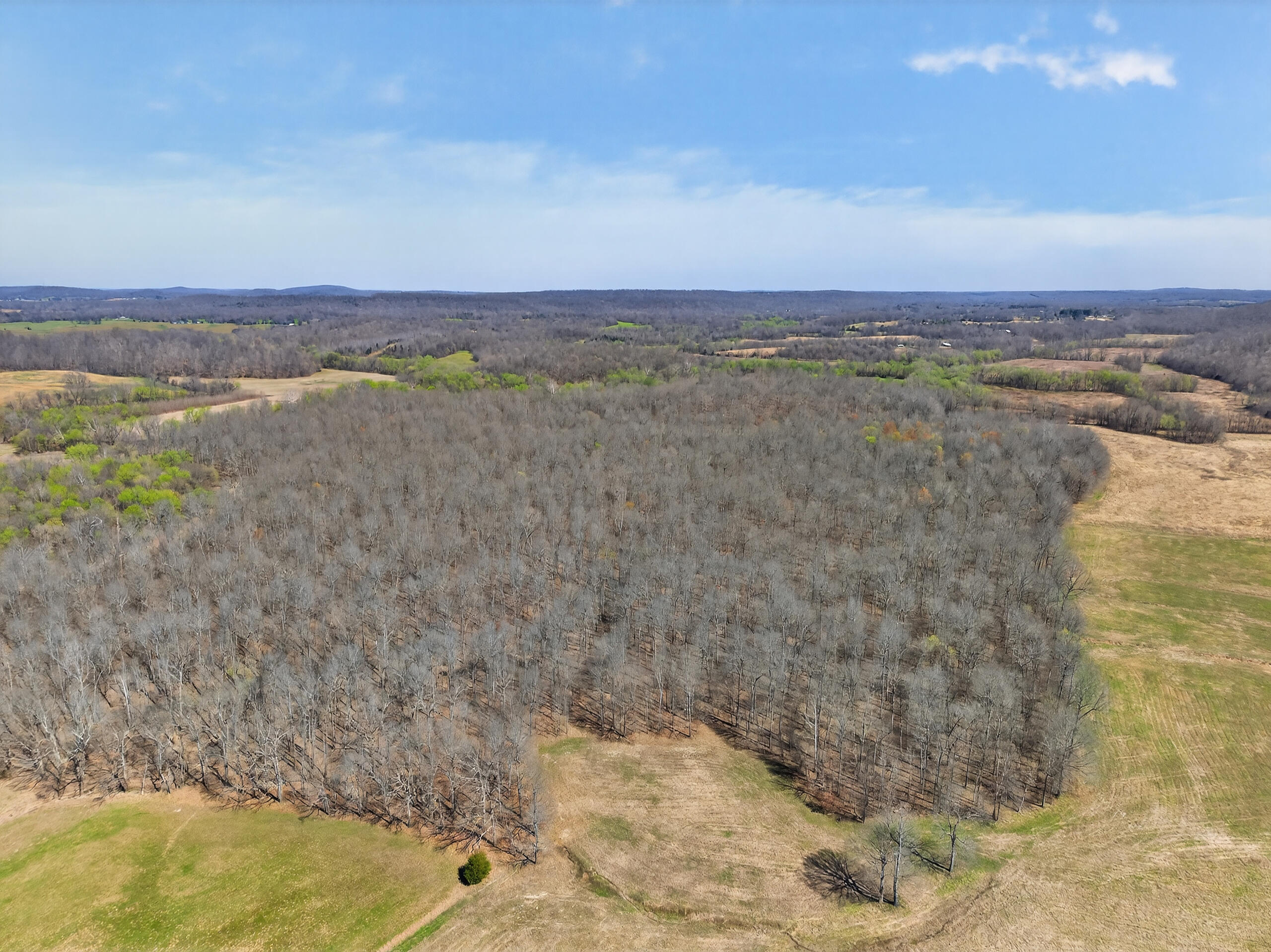 2526 Axel Creek Road Property Photo 11