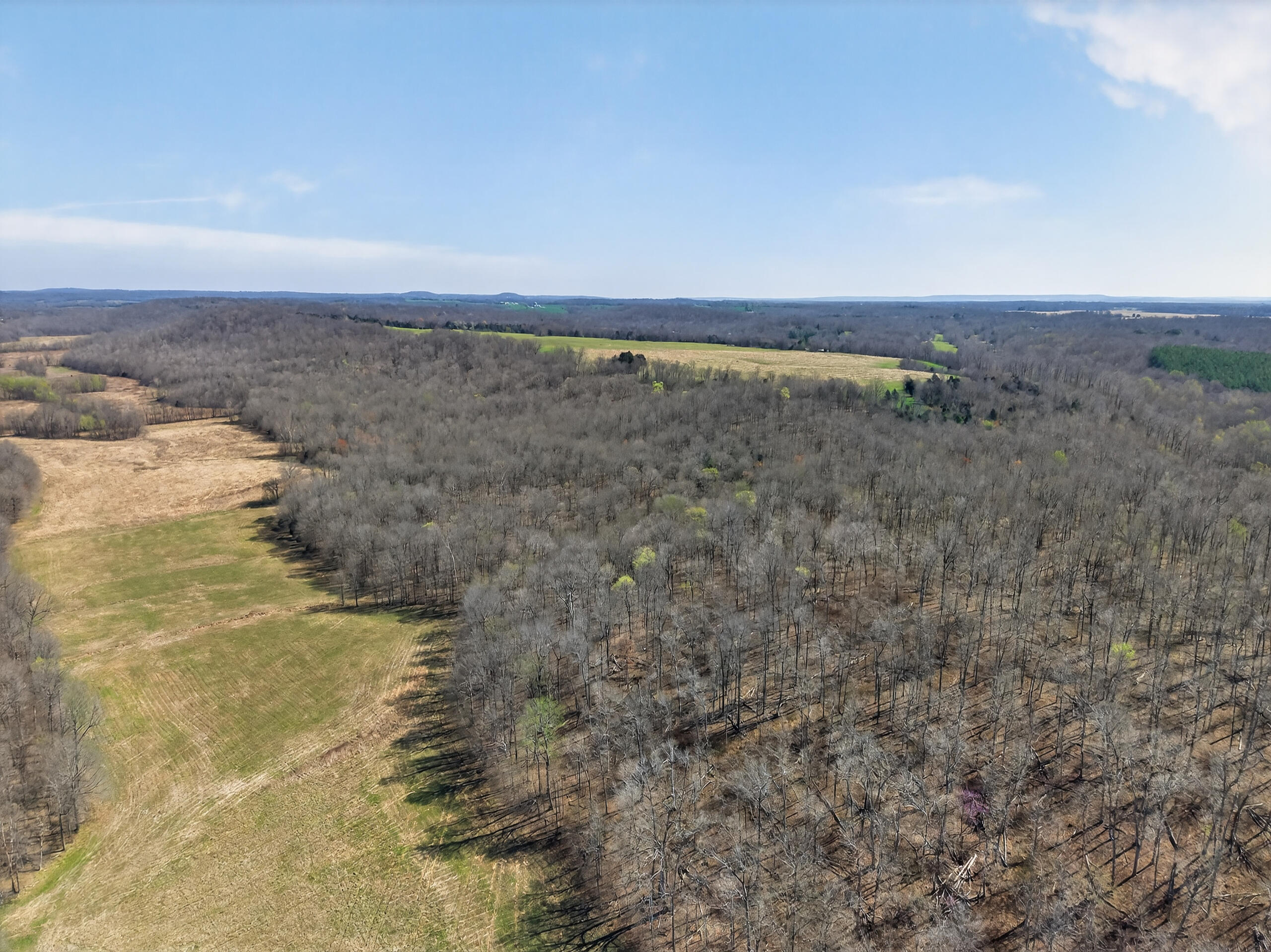 2526 Axel Creek Road Property Photo 12