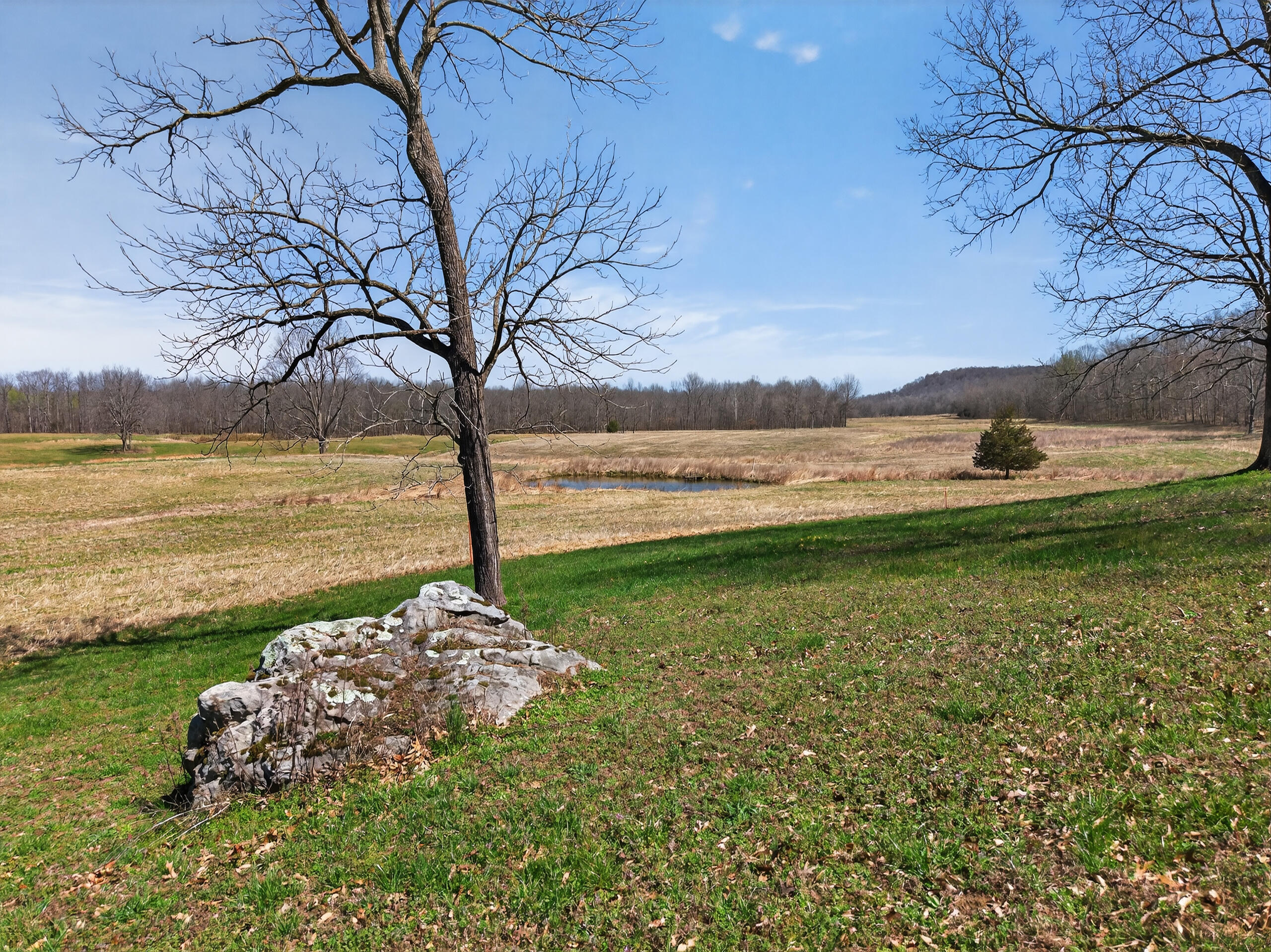 2526 Axel Creek Road Property Photo 21