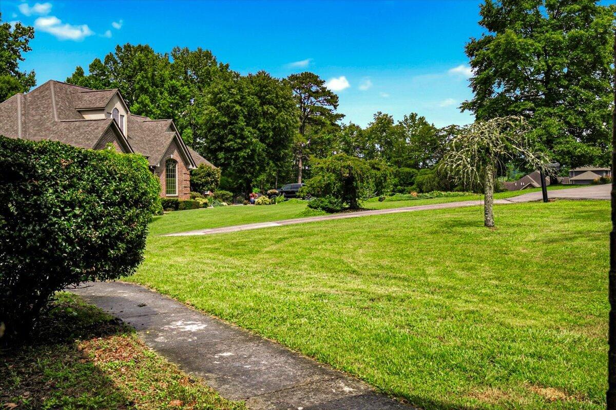 92 Skyview Drive Property Photo 31
