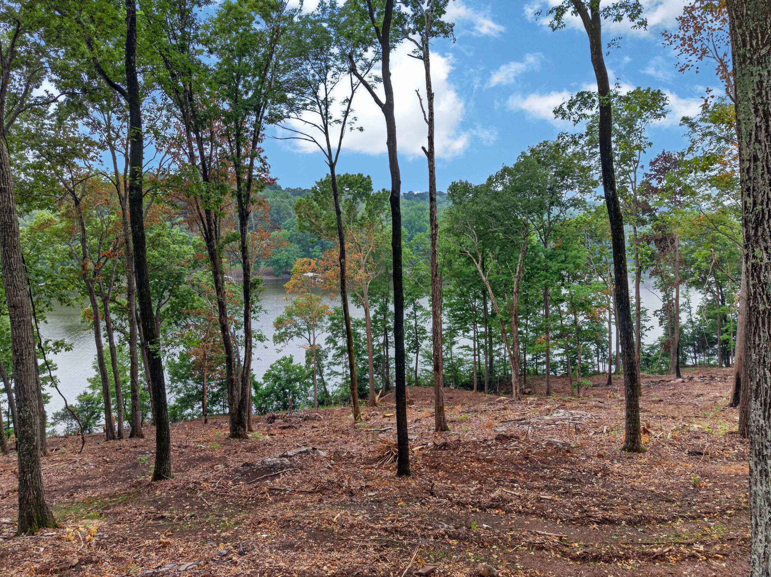 Lot 13 Elwood Road Property Photo 2
