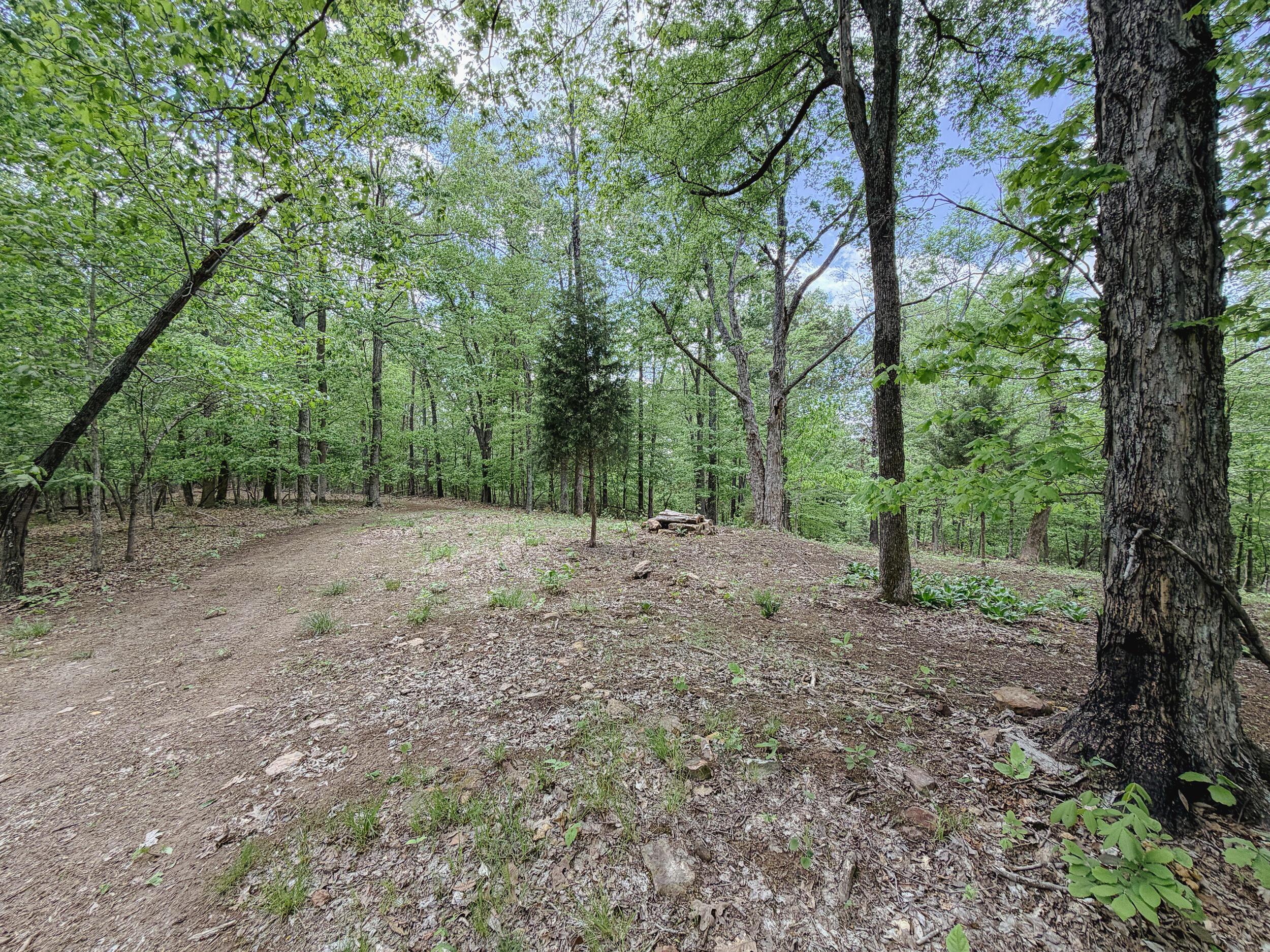 406 Lakewood Road Property Photo 16