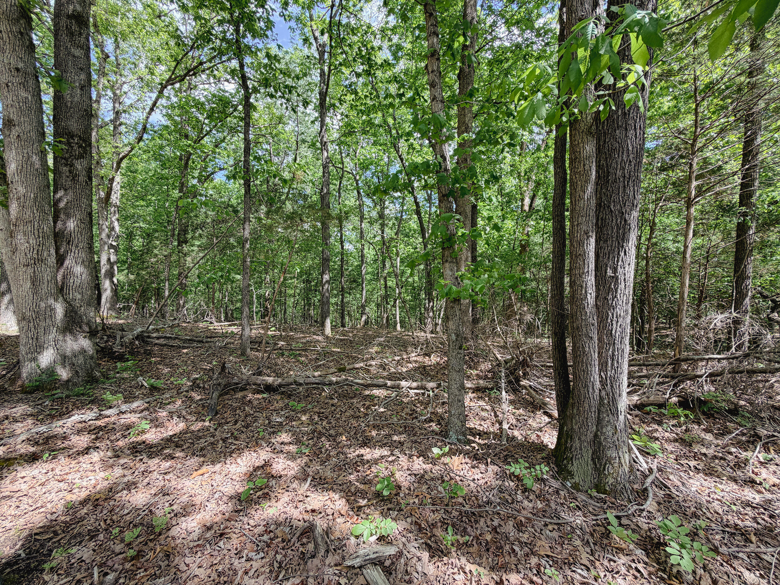 406 Lakewood Road Property Photo 18