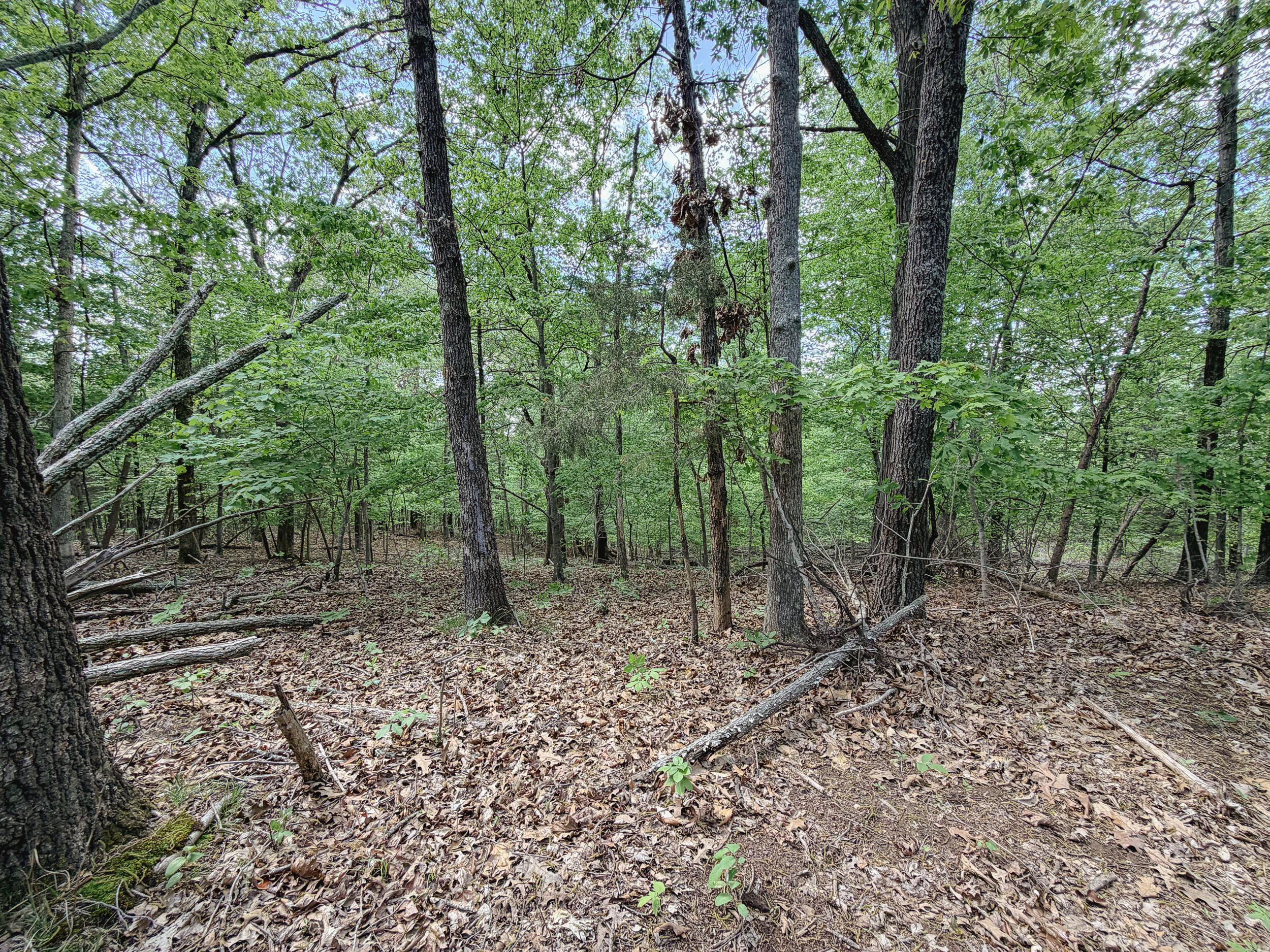 406 Lakewood Road Property Photo 19