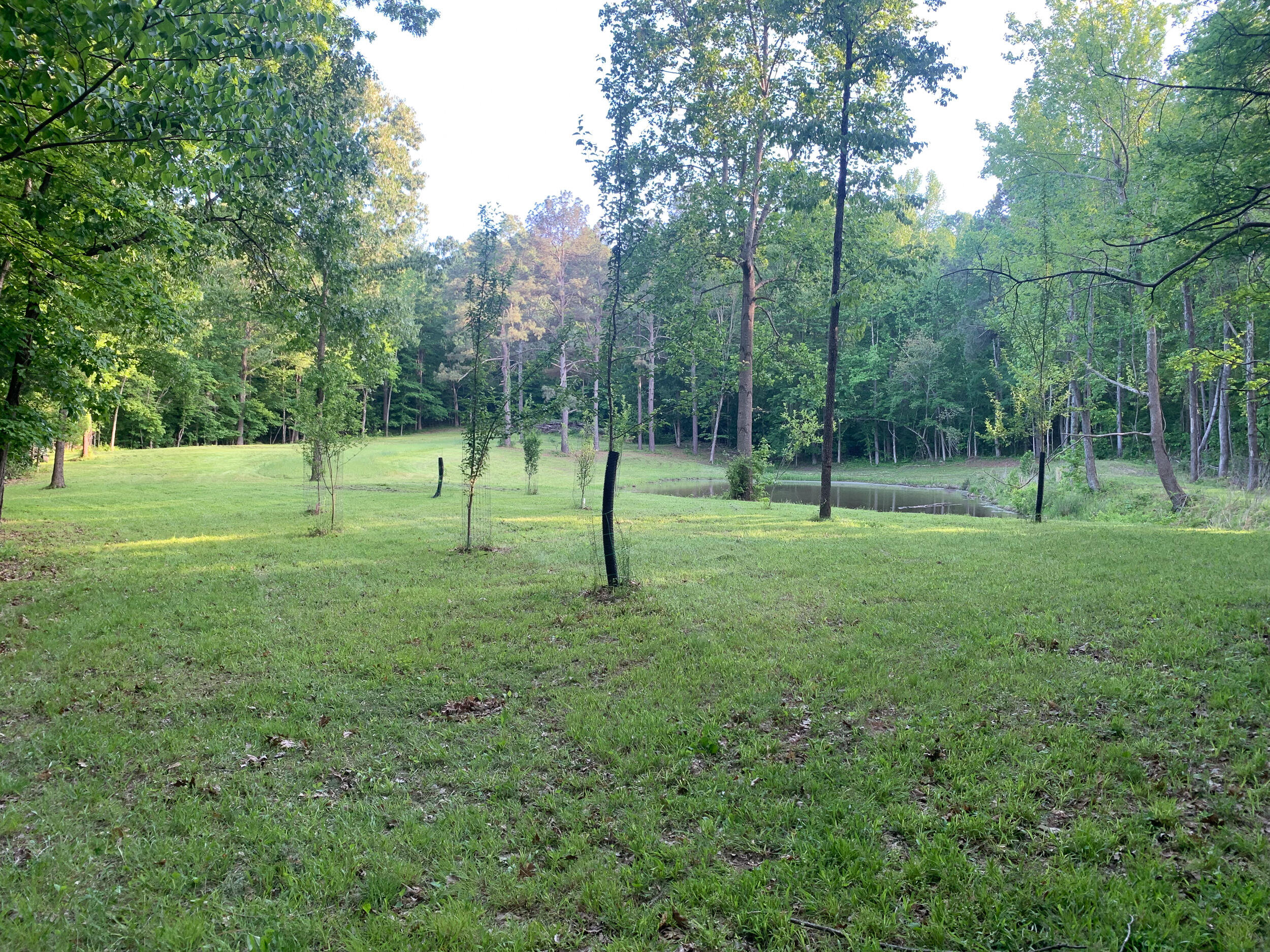 406 Lakewood Road Property Photo 30