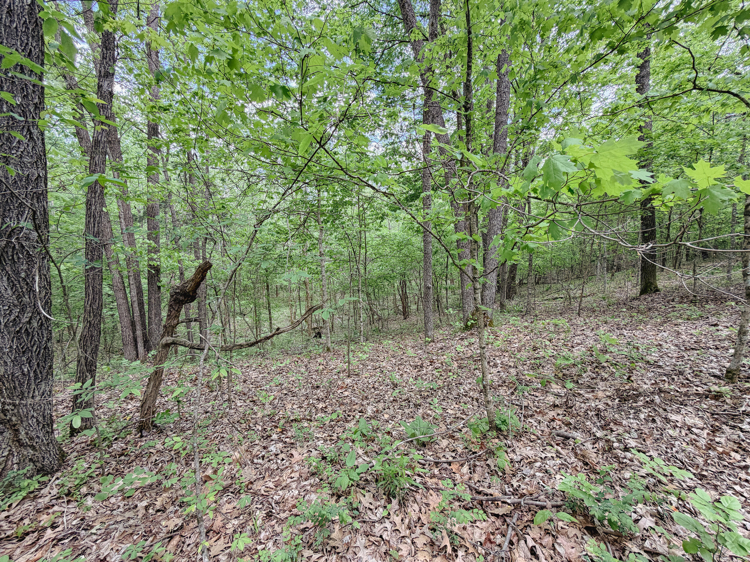 406 Lakewood Road Property Photo 34