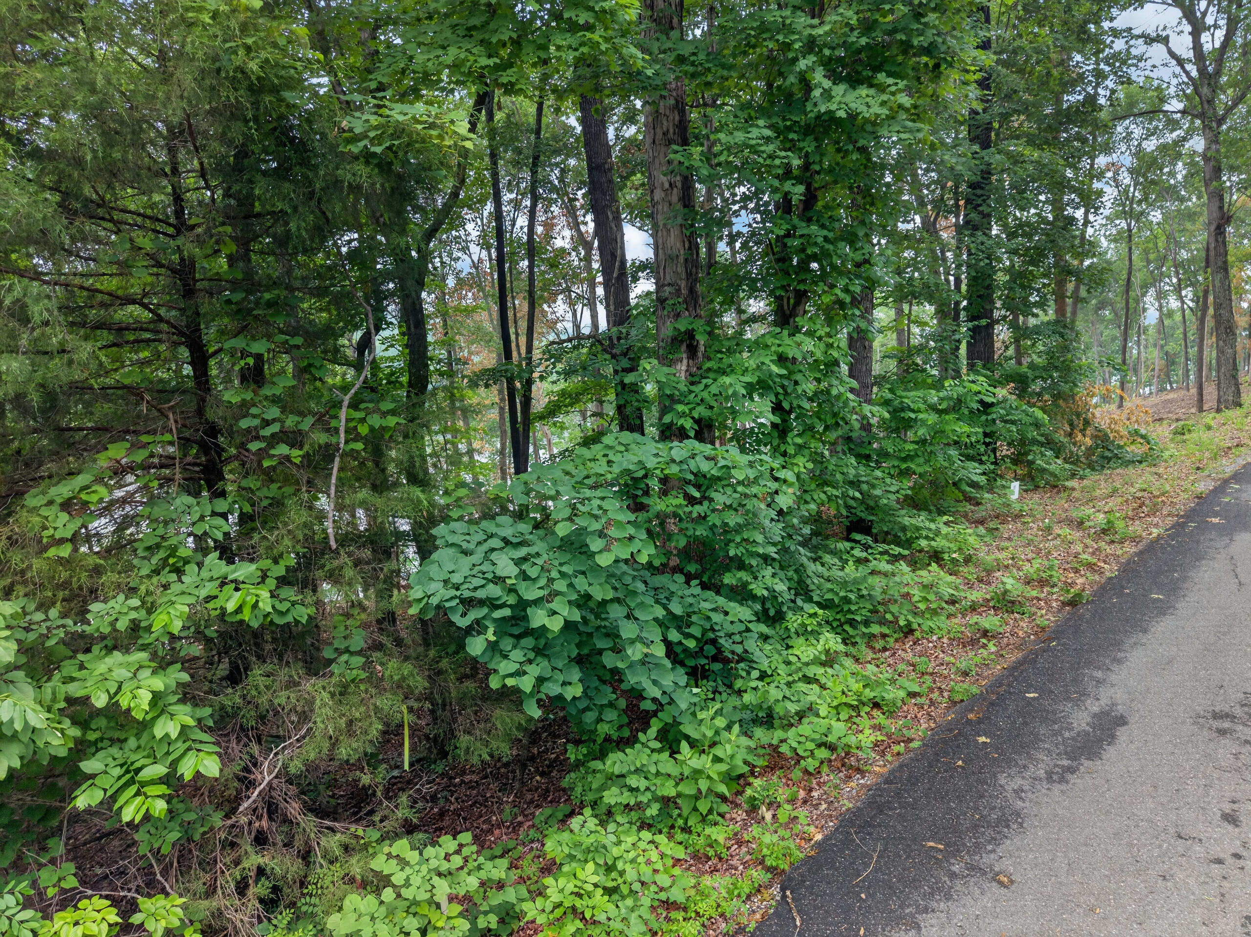 Lot 14 Elwood Road Property Photo 3