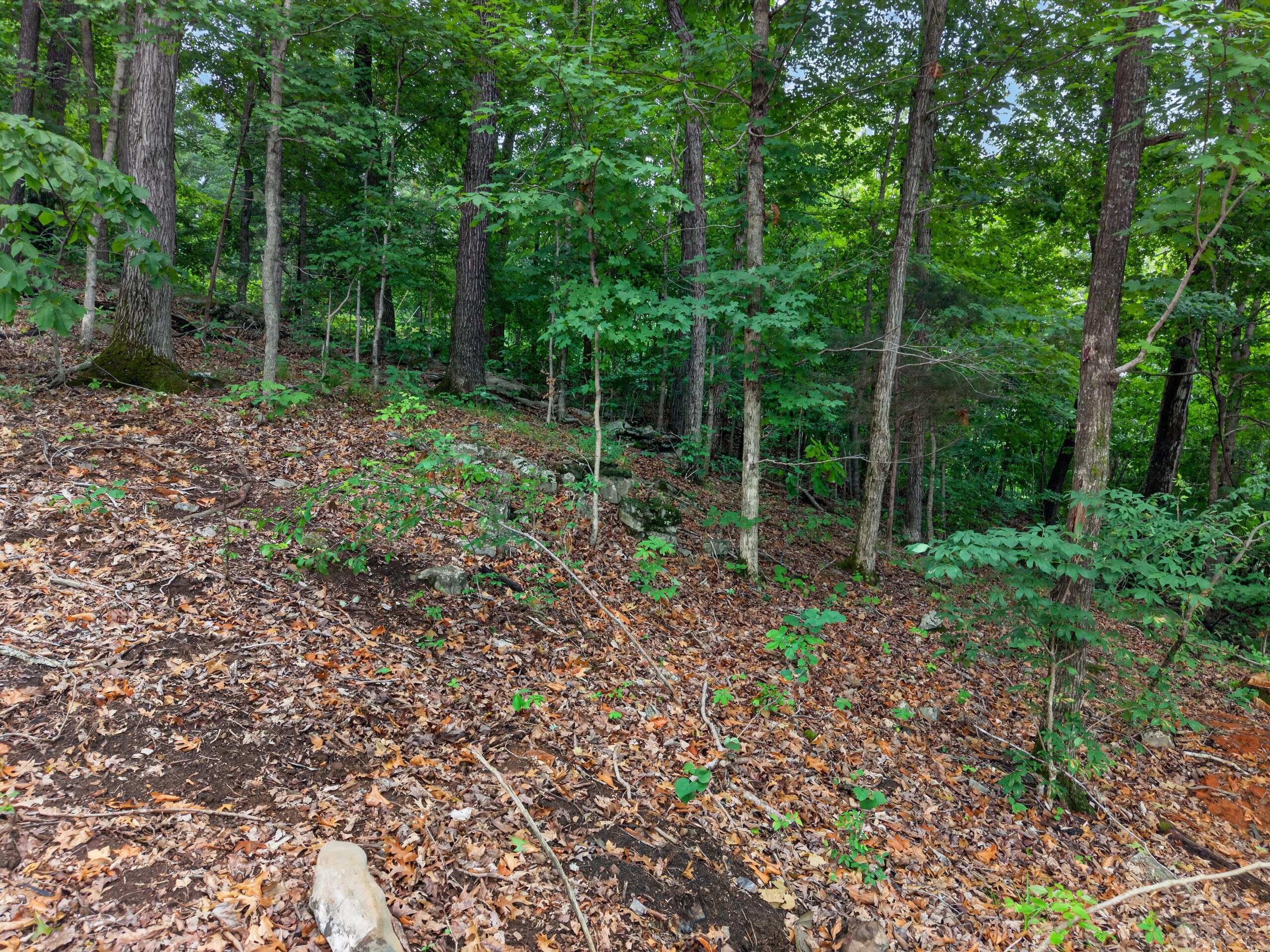 Lot 14 Elwood Road Property Photo 6