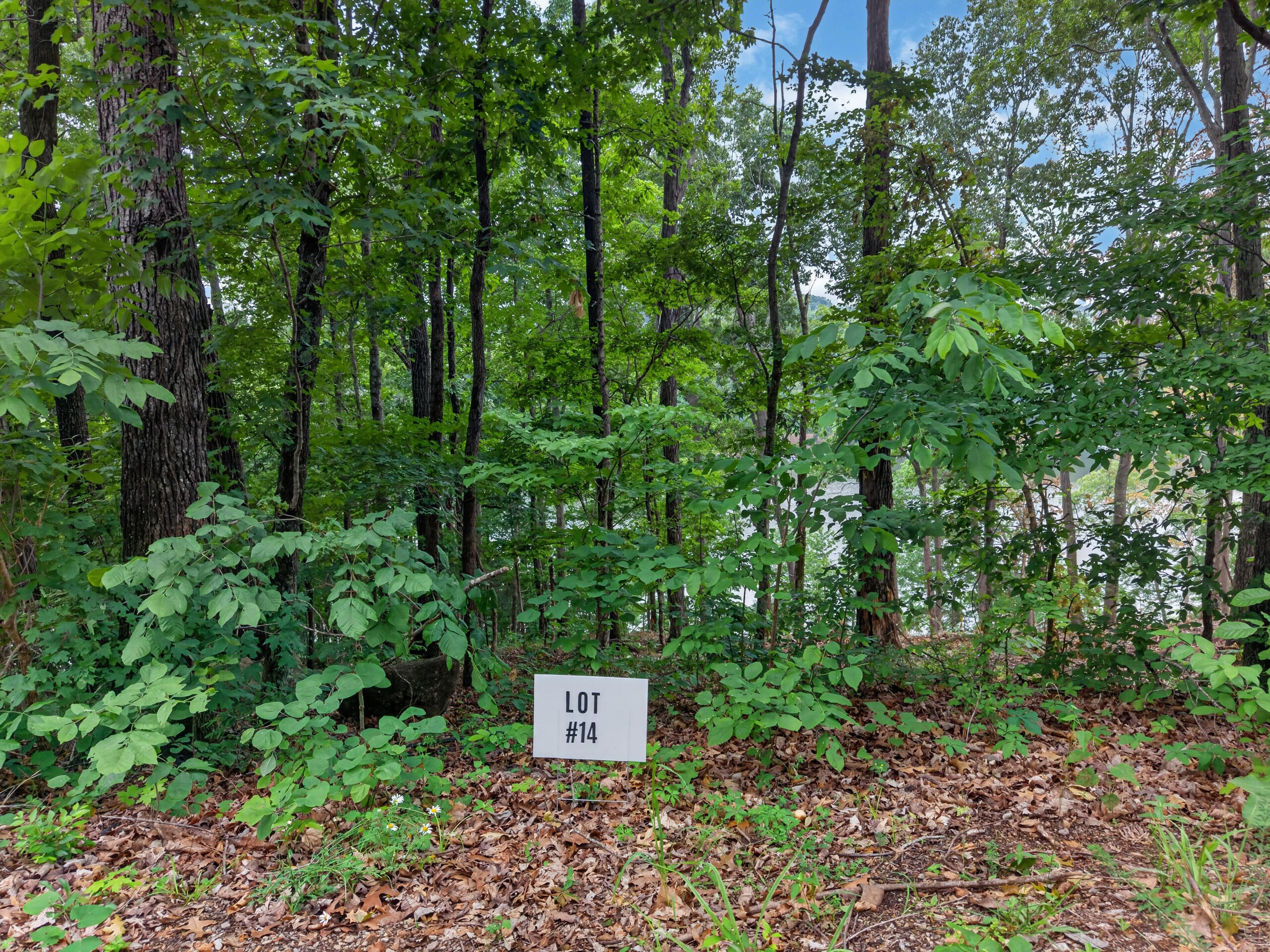Lot 14 Elwood Road Property Photo 9
