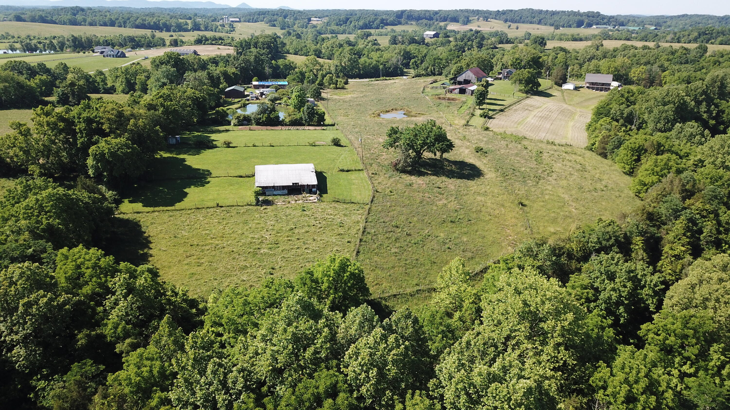 3686 Crowe Ridge Road Property Photo 6