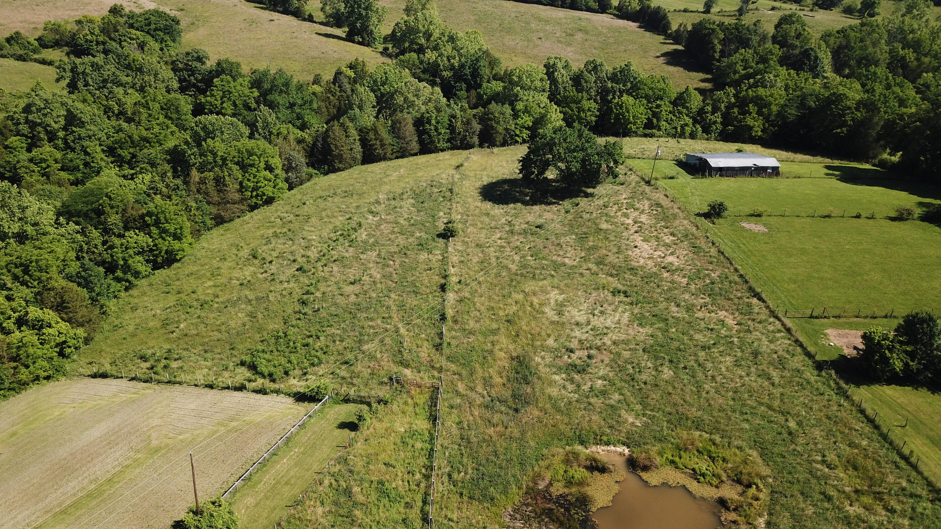 3686 Crowe Ridge Road Property Photo 10