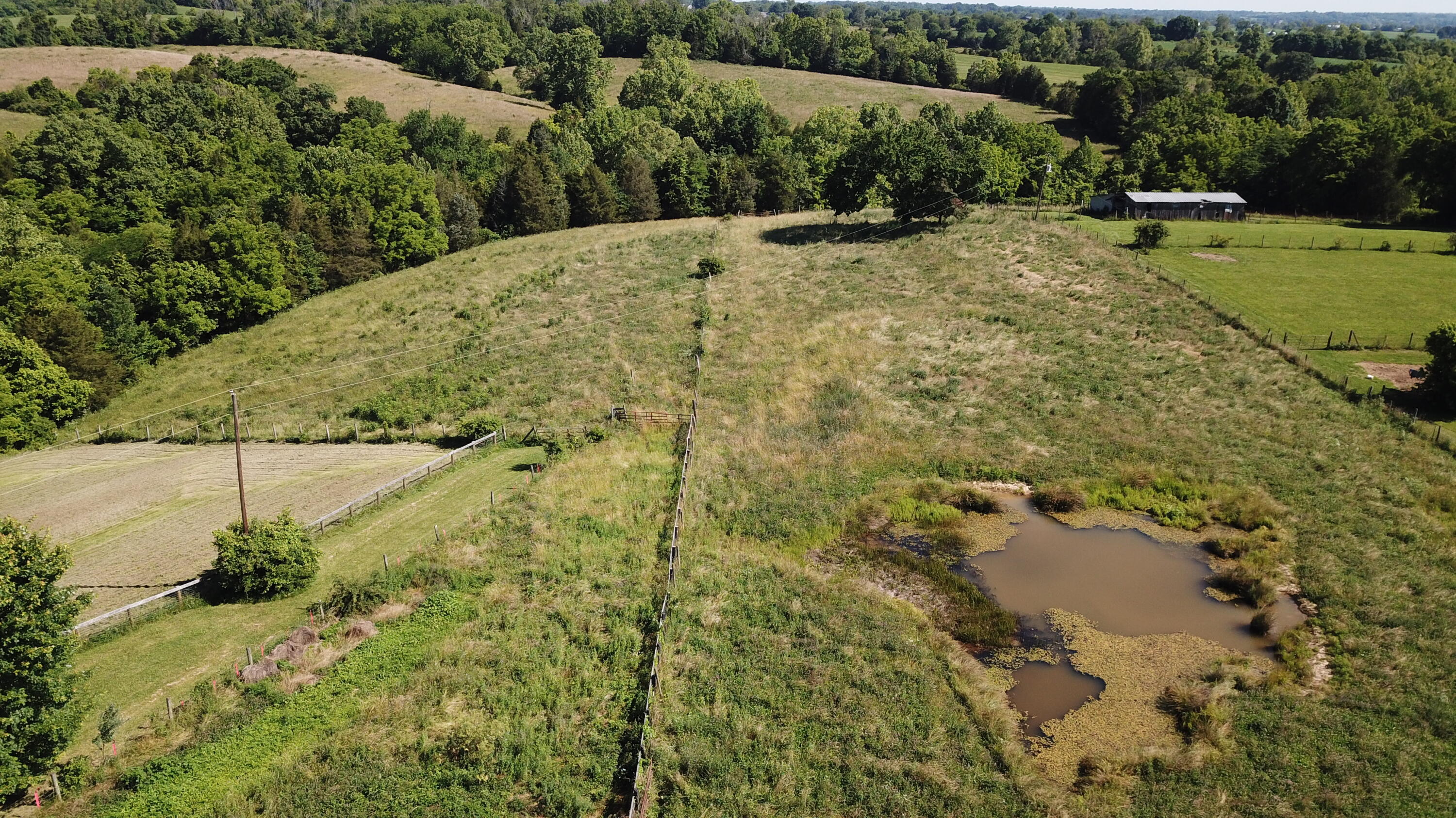 3686 Crowe Ridge Road Property Photo 11