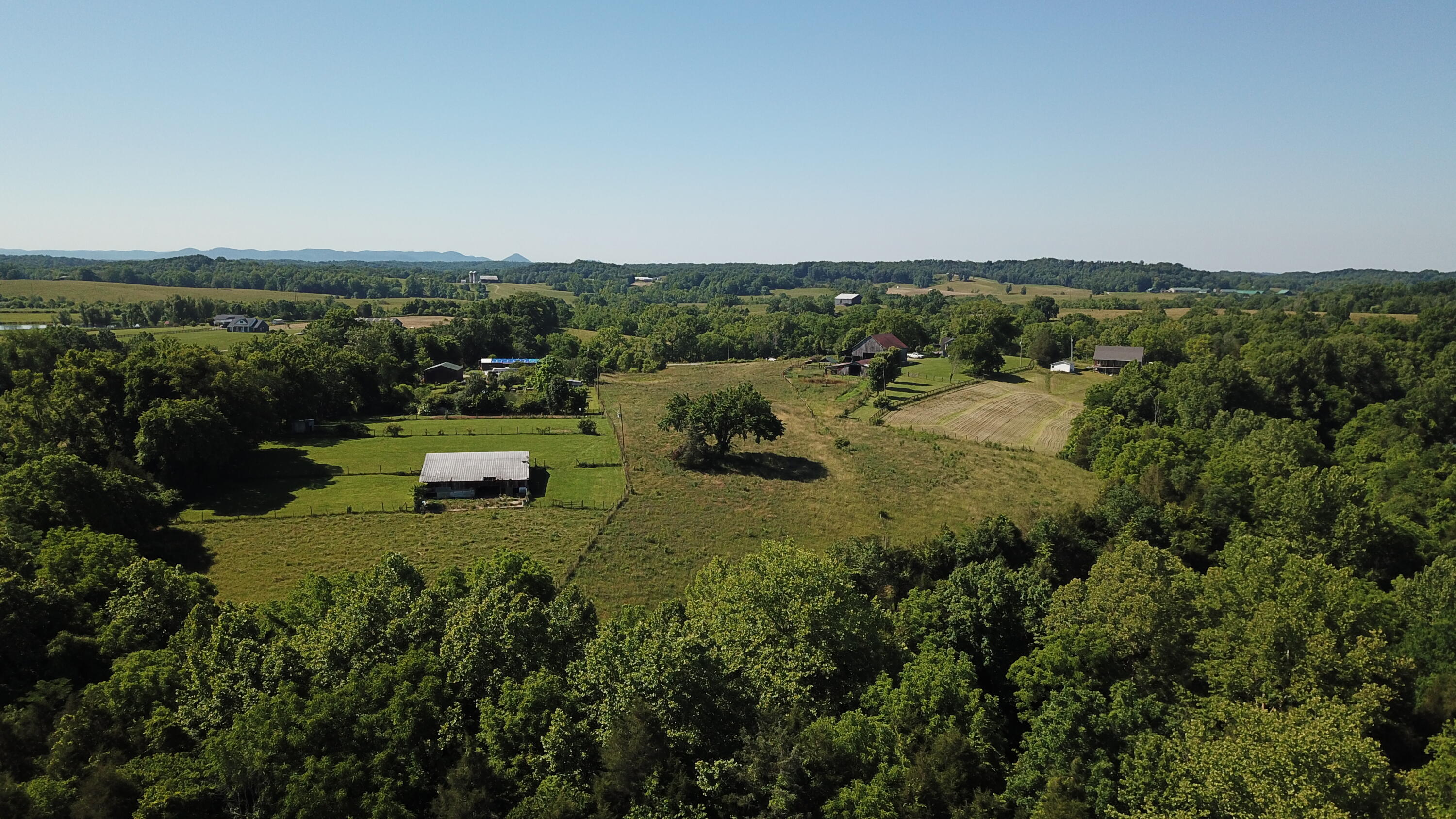 3686 Crowe Ridge Road Property Photo 13