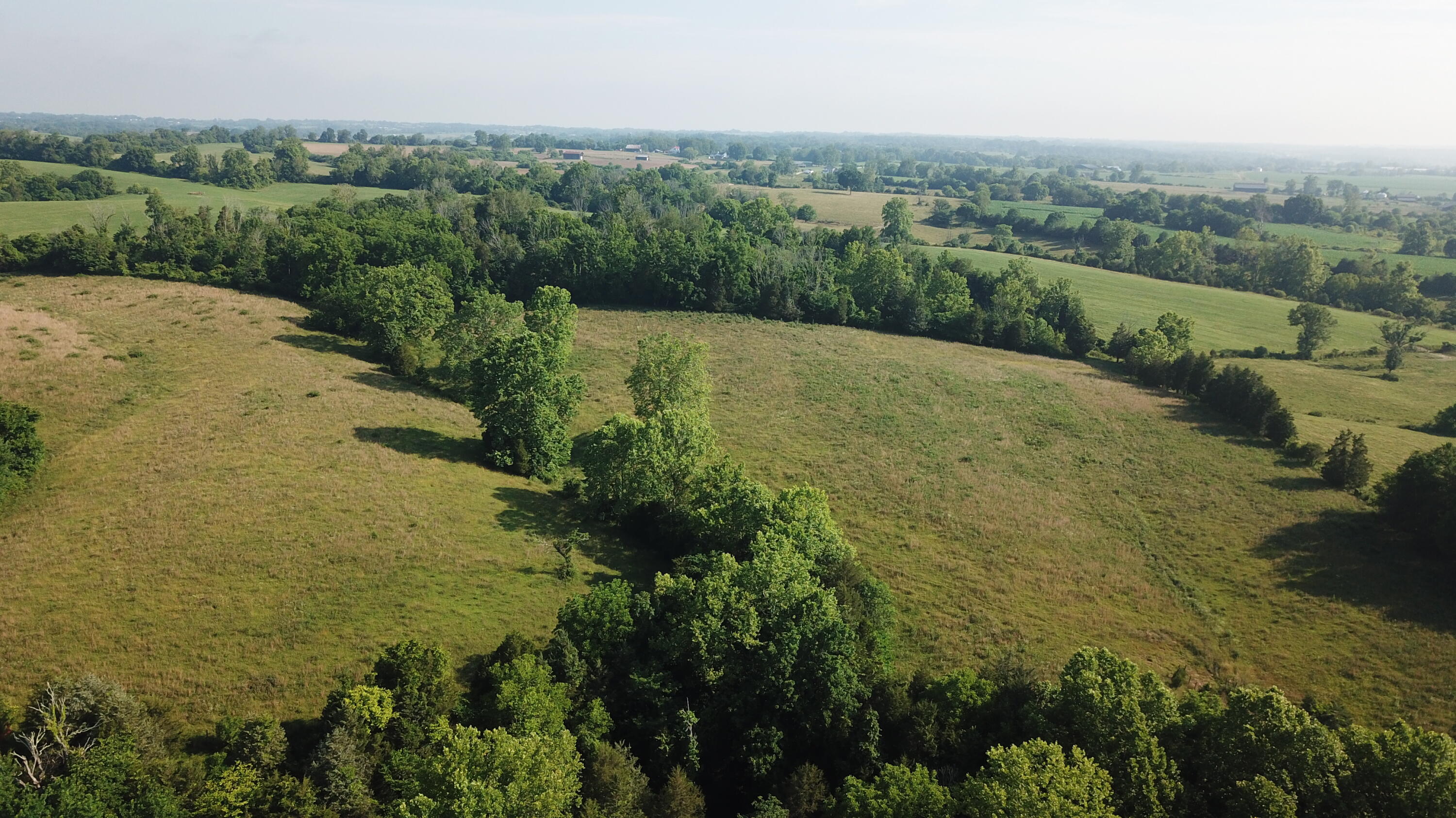 3686 Crowe Ridge Road Property Photo 14