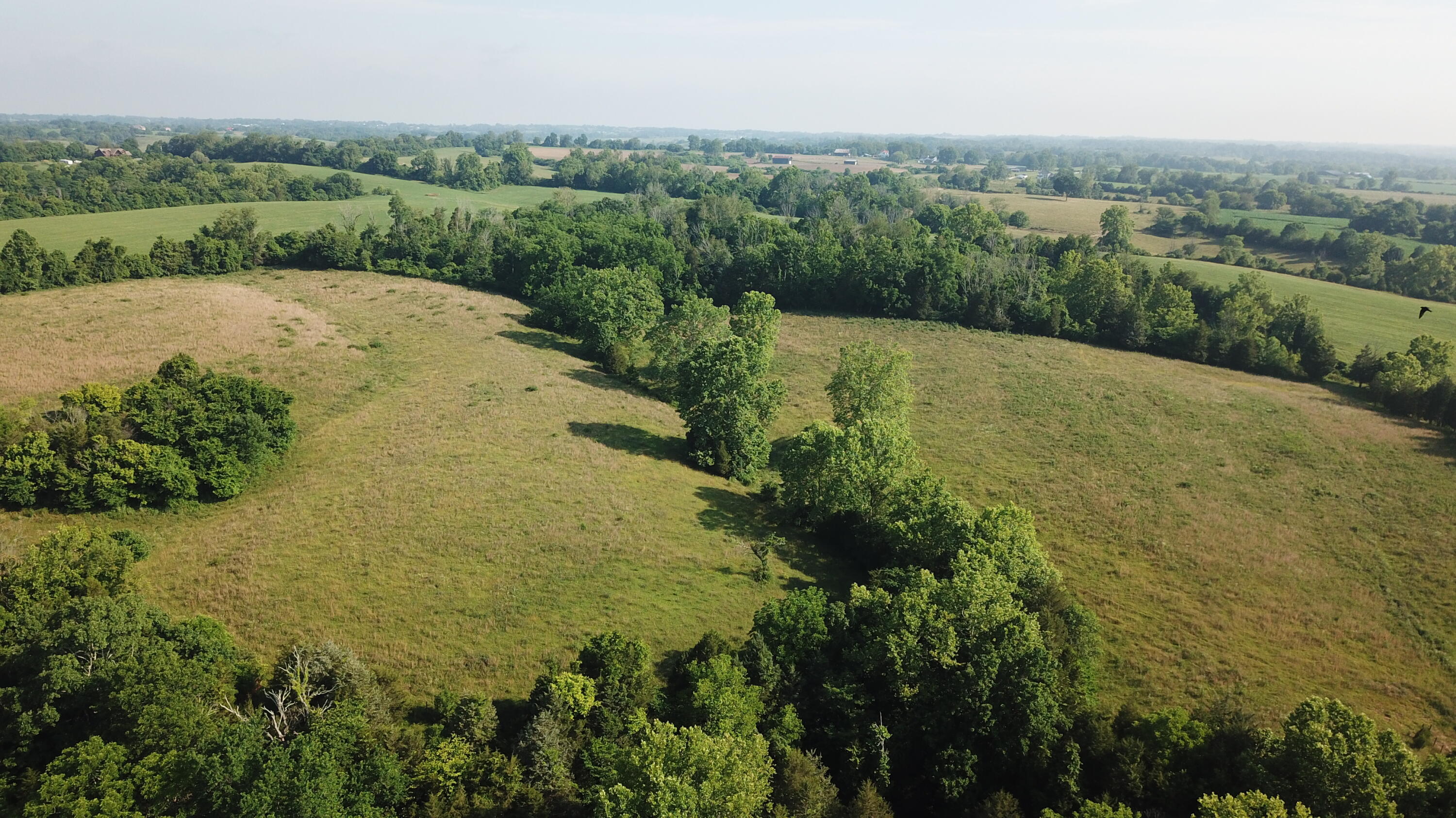 3686 Crowe Ridge Road Property Photo 16