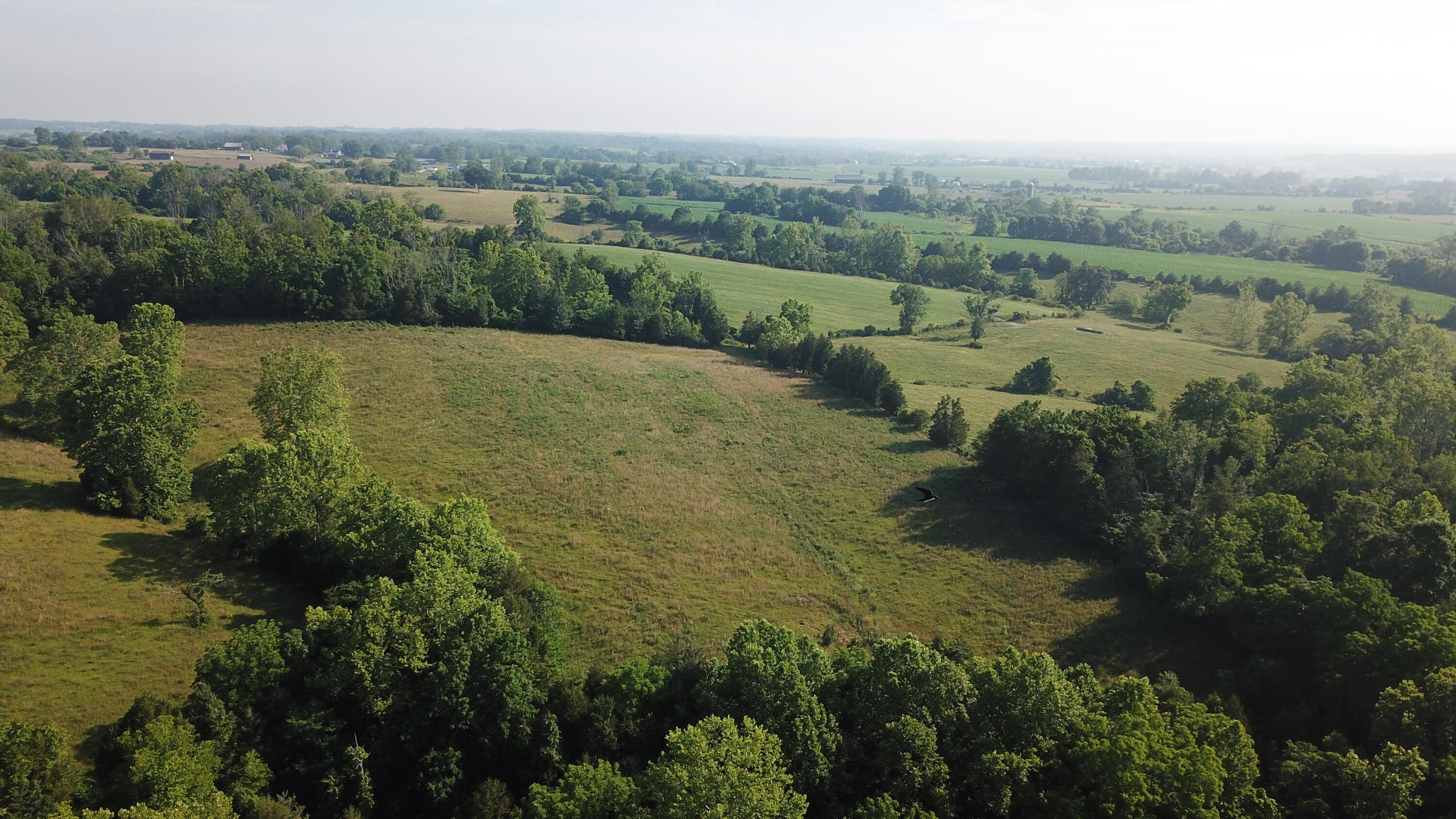 3686 Crowe Ridge Road Property Photo 17