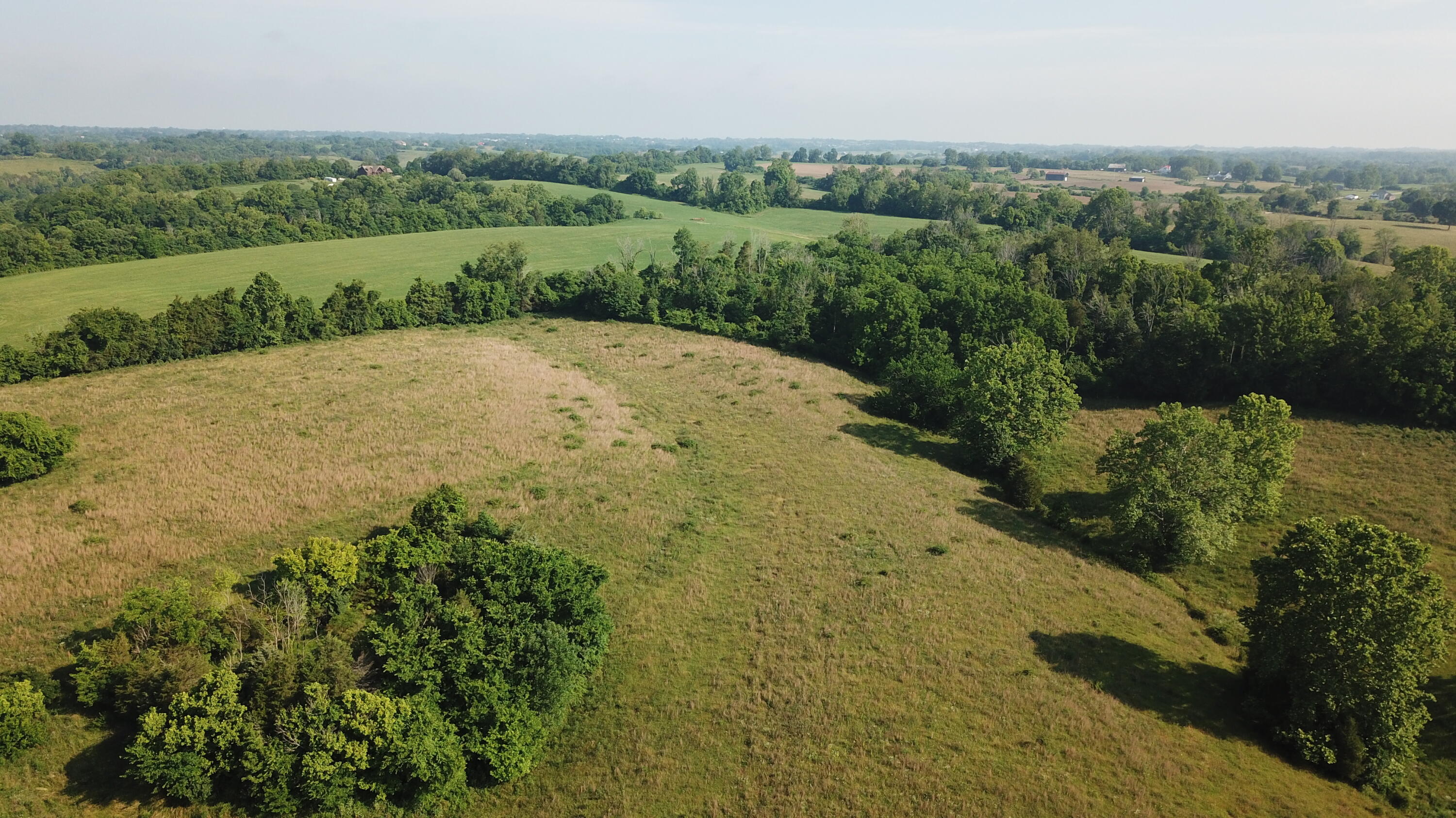 3686 Crowe Ridge Road Property Photo 18