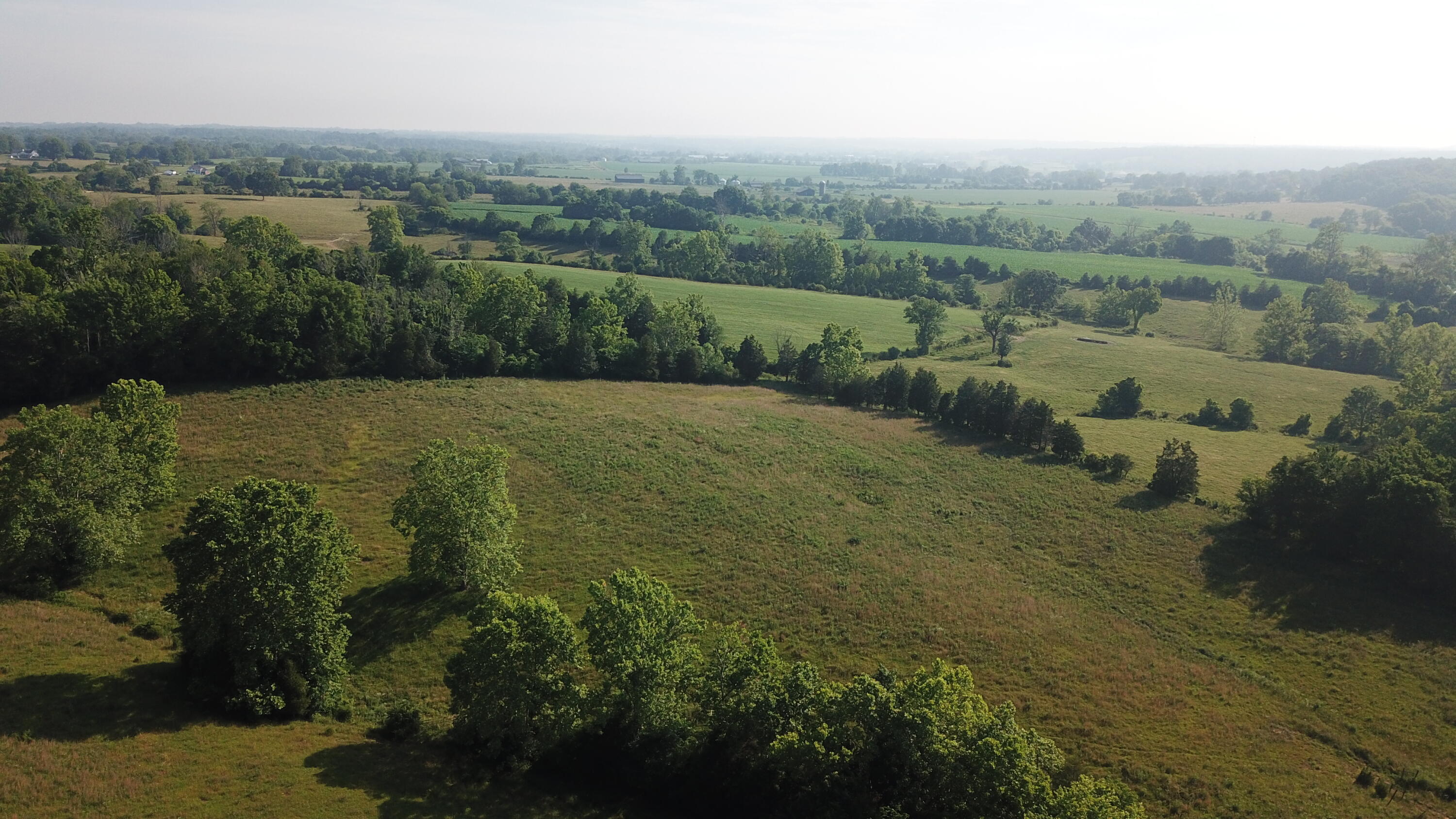 3686 Crowe Ridge Road Property Photo 19