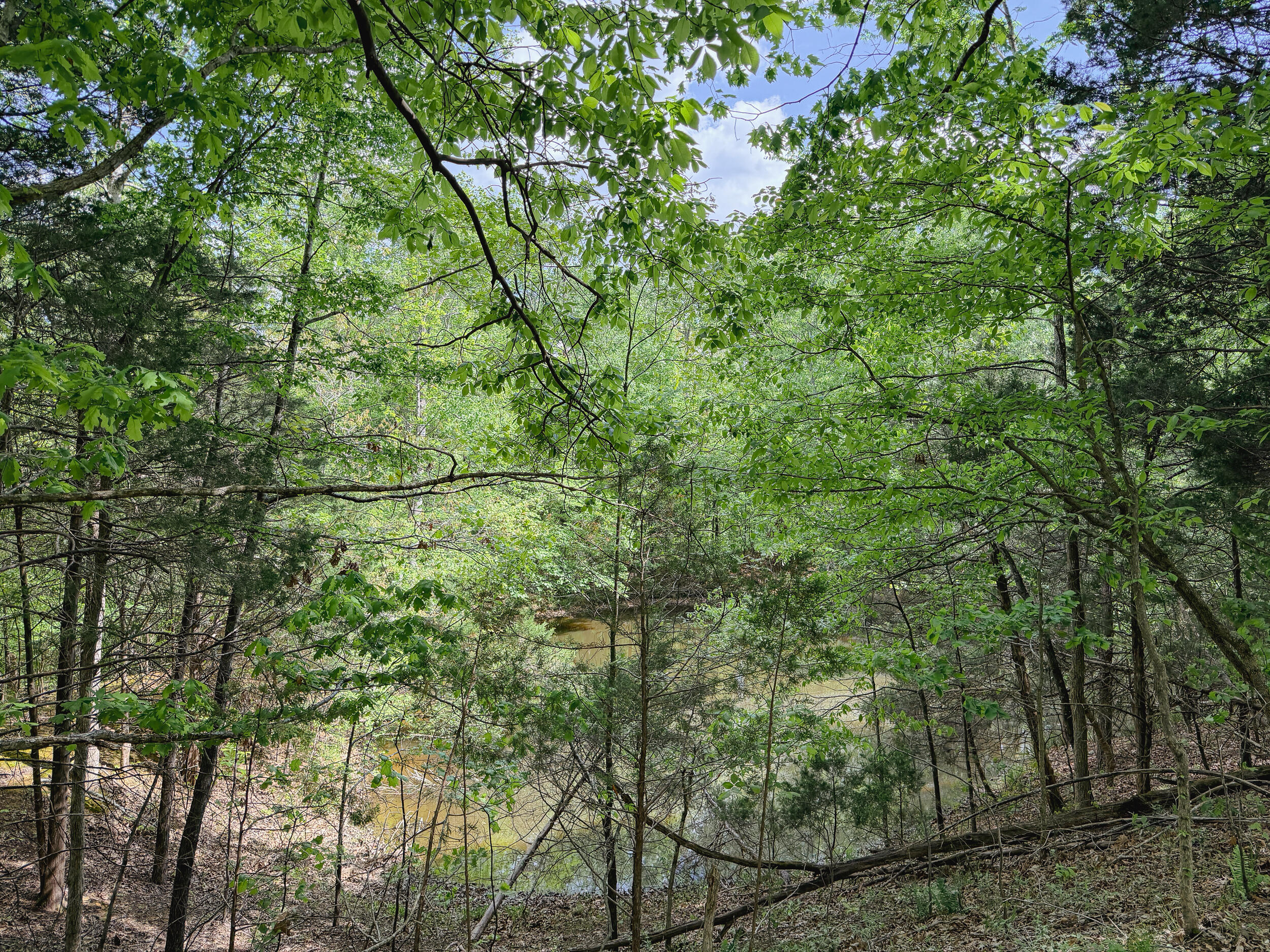 406 Lakewood Road Tract 1 Property Photo 12