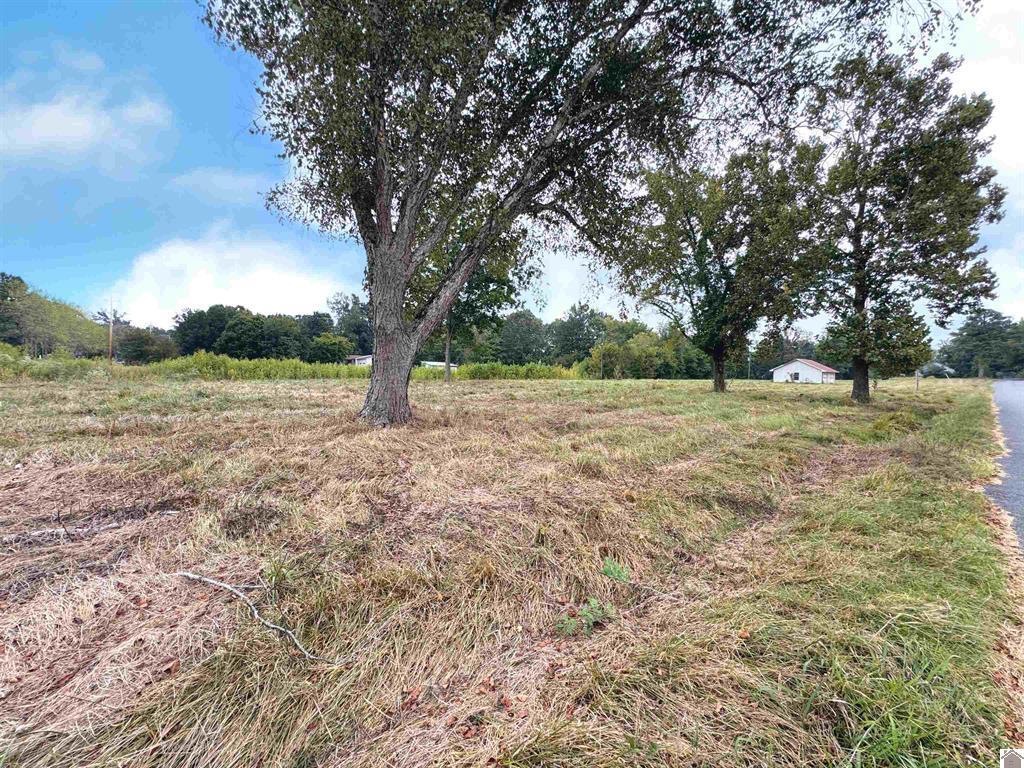 505 5th Street Property Photo 2