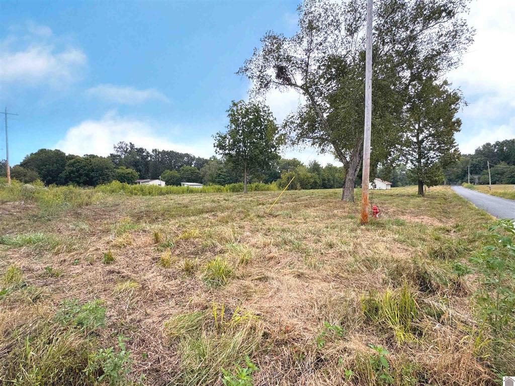 505 5th Street Property Photo 11