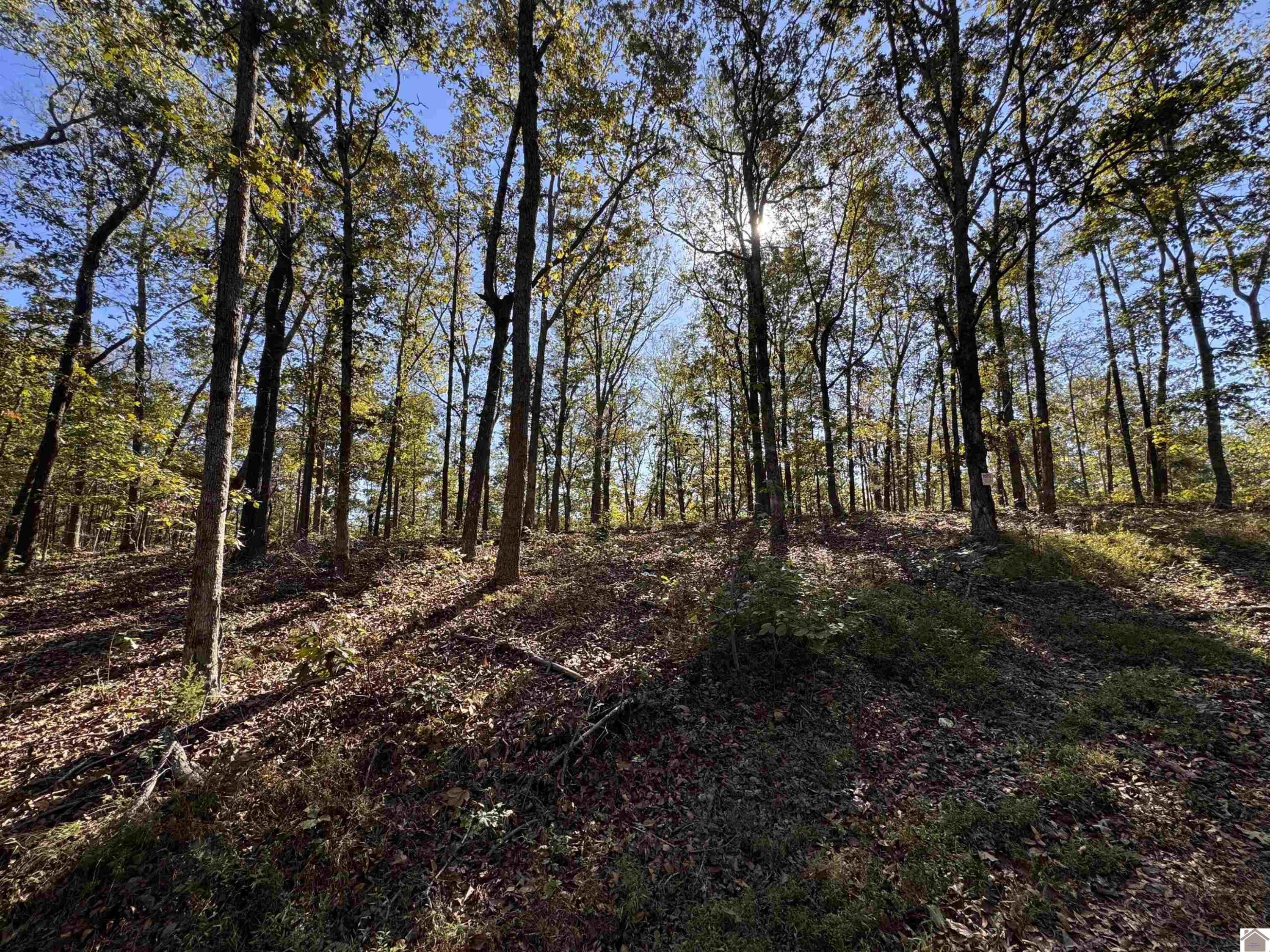 103-0-0018-c Ridge Road Property Photo 1