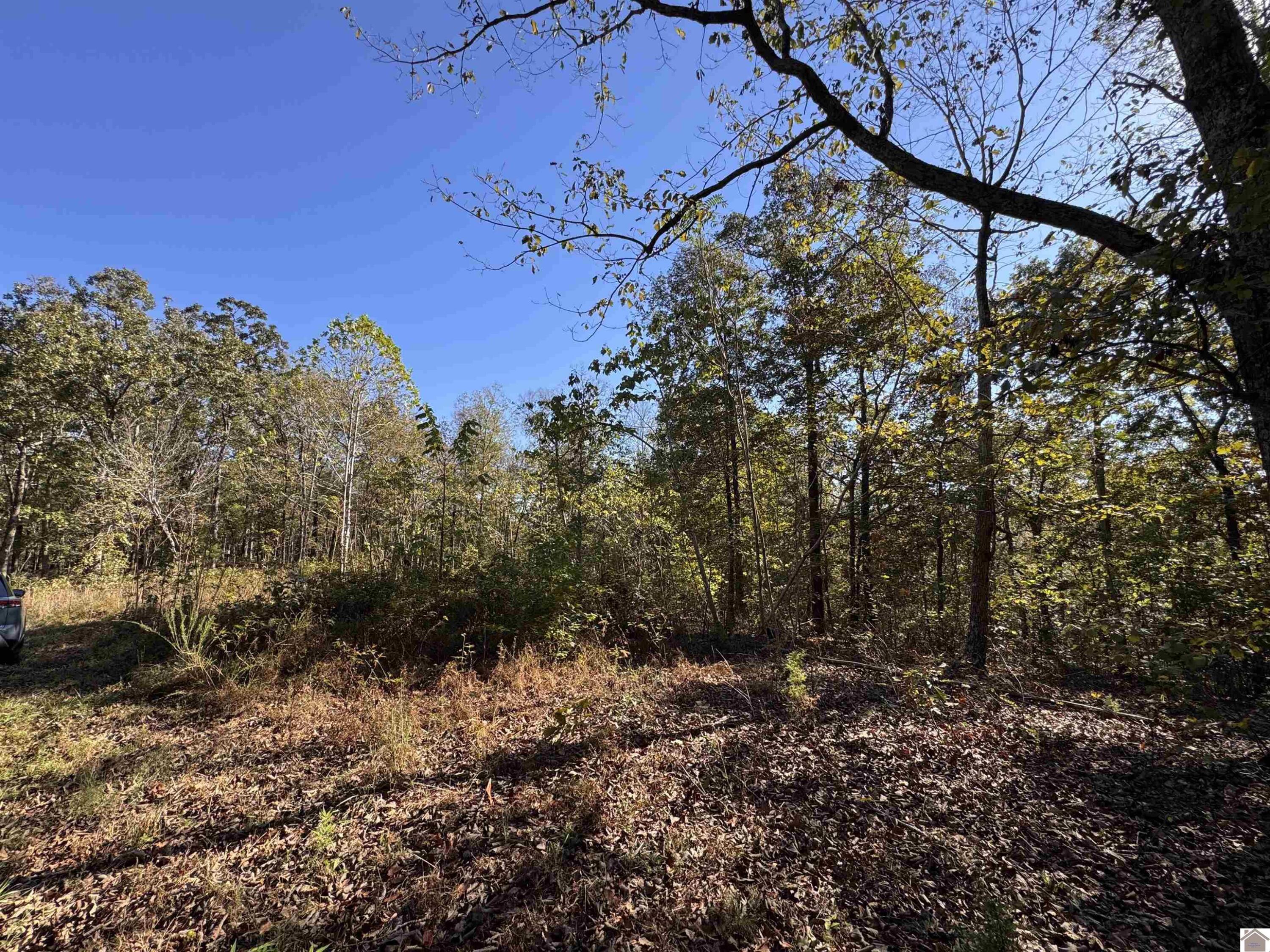 103-0-0018-c Ridge Road Property Photo 2